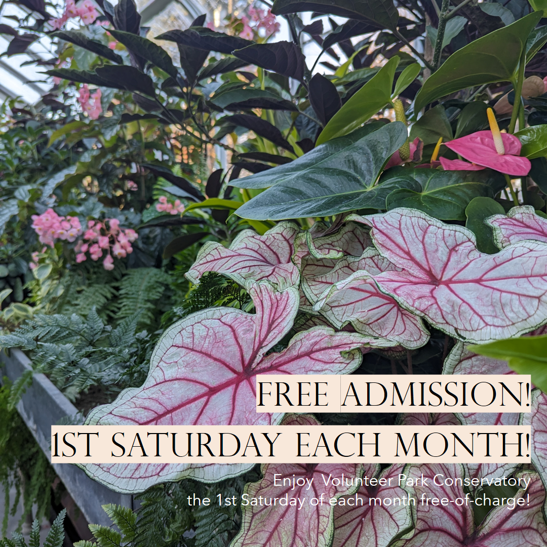 Family Saturday - 1st Saturday Monthly
