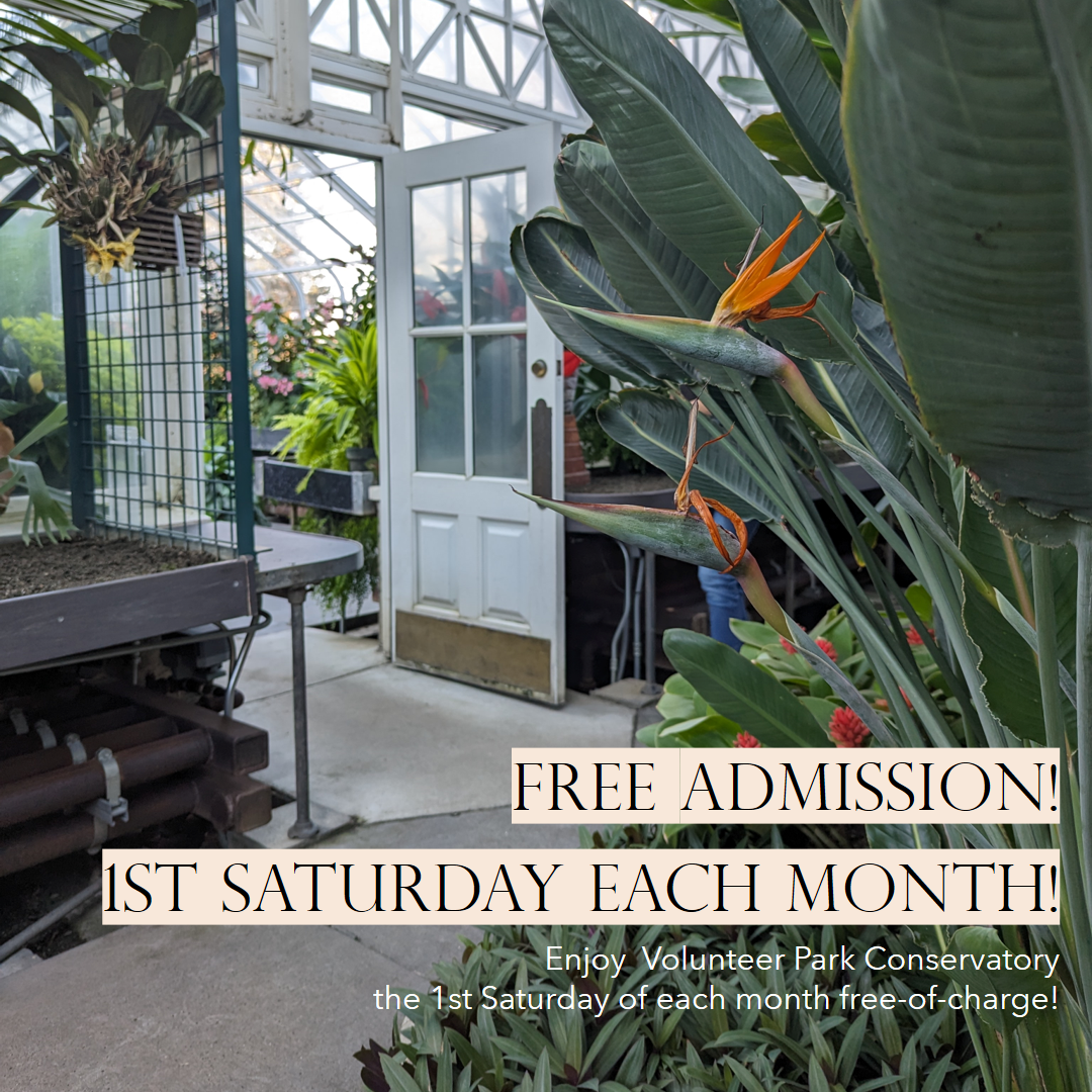 Family Saturday - 1st Saturday Monthly