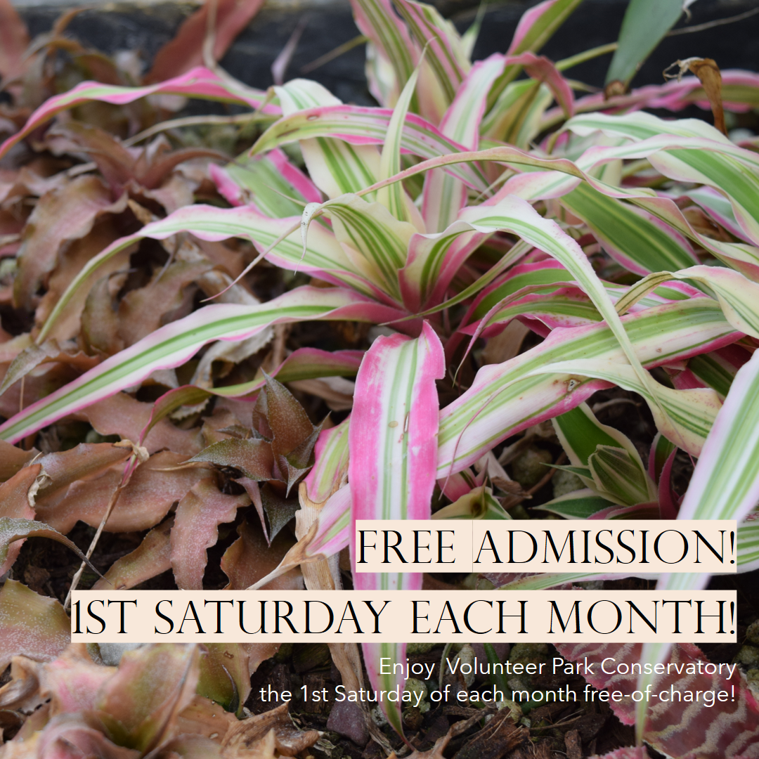 Free Conservatory Admission - 1st Saturday Monthly