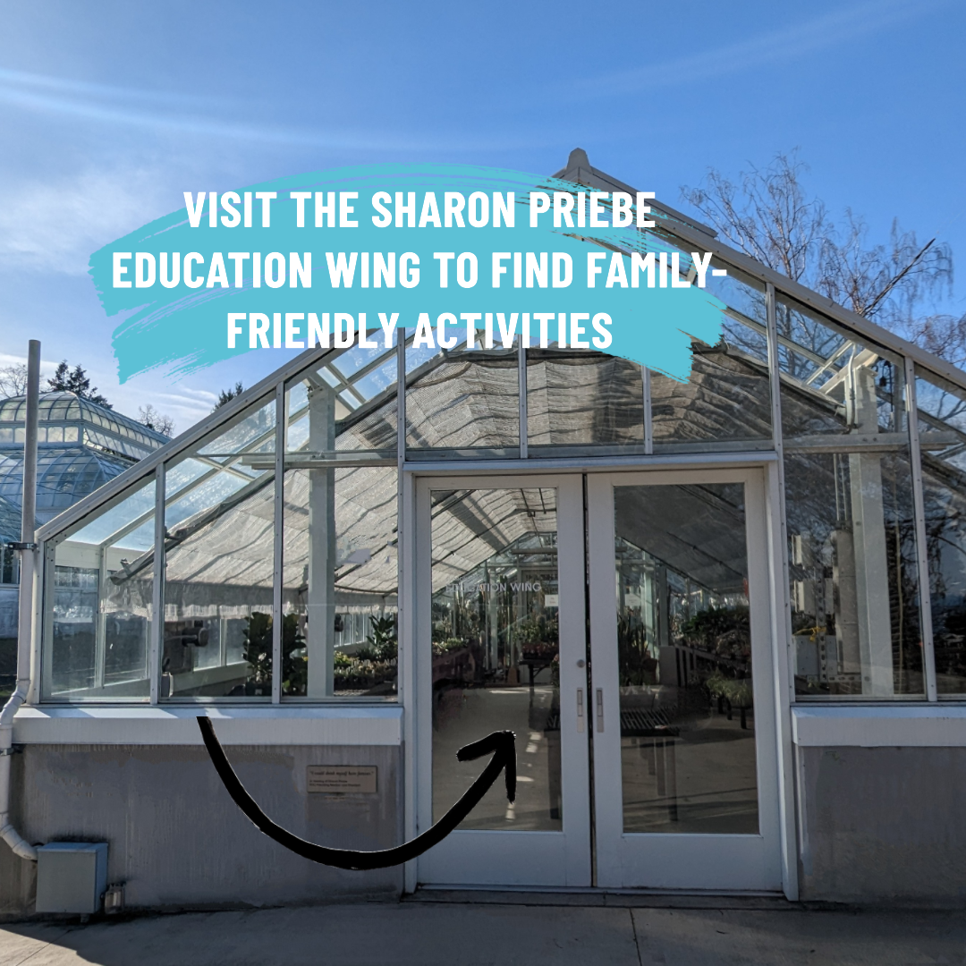 You'll find the free and low-cost family-friendly activities offered the 1st Saturday of each month in the Priebe Wing located behind the Conservatory down the east drive.