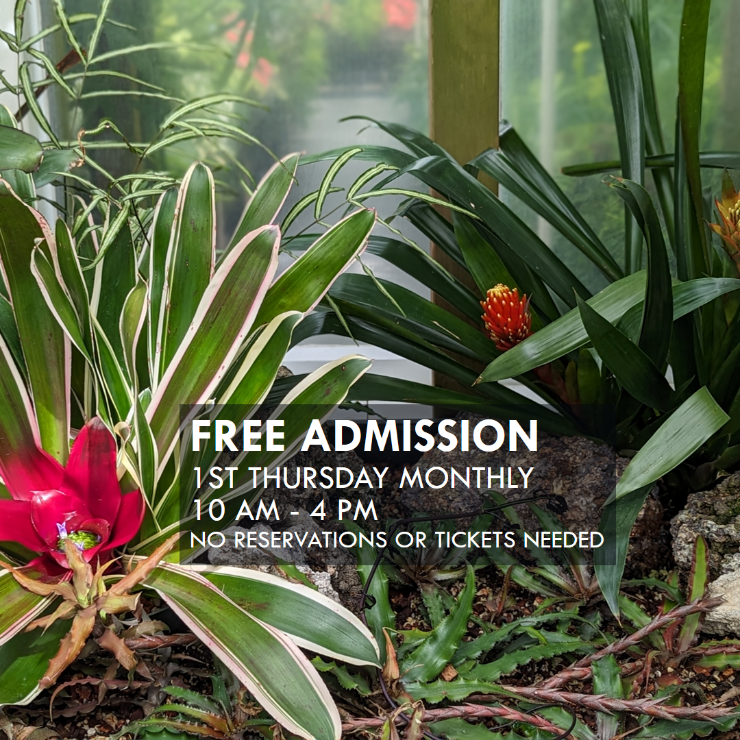 Free Conservatory Admission - 1st Free Thursday