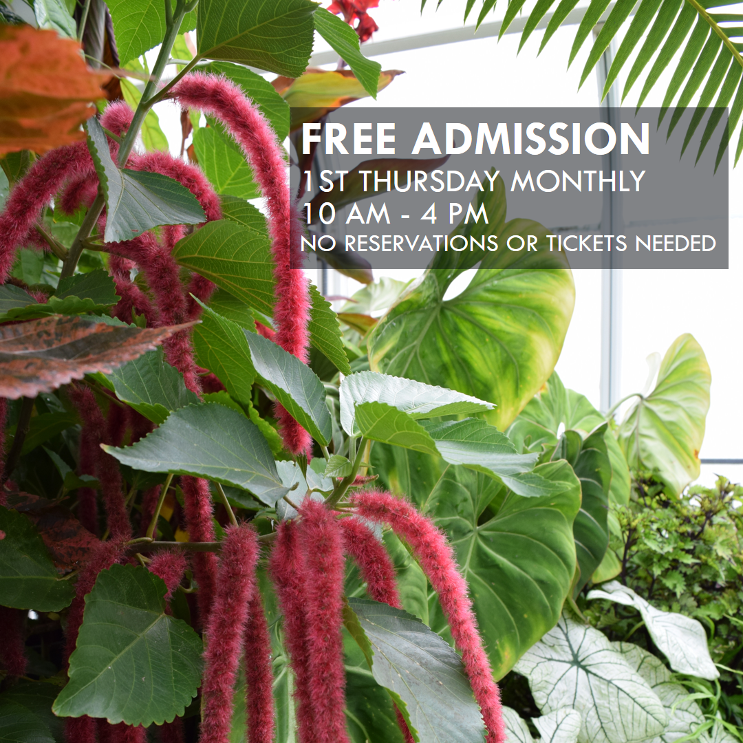 Free Conservatory Admission - 1st Free Thursday