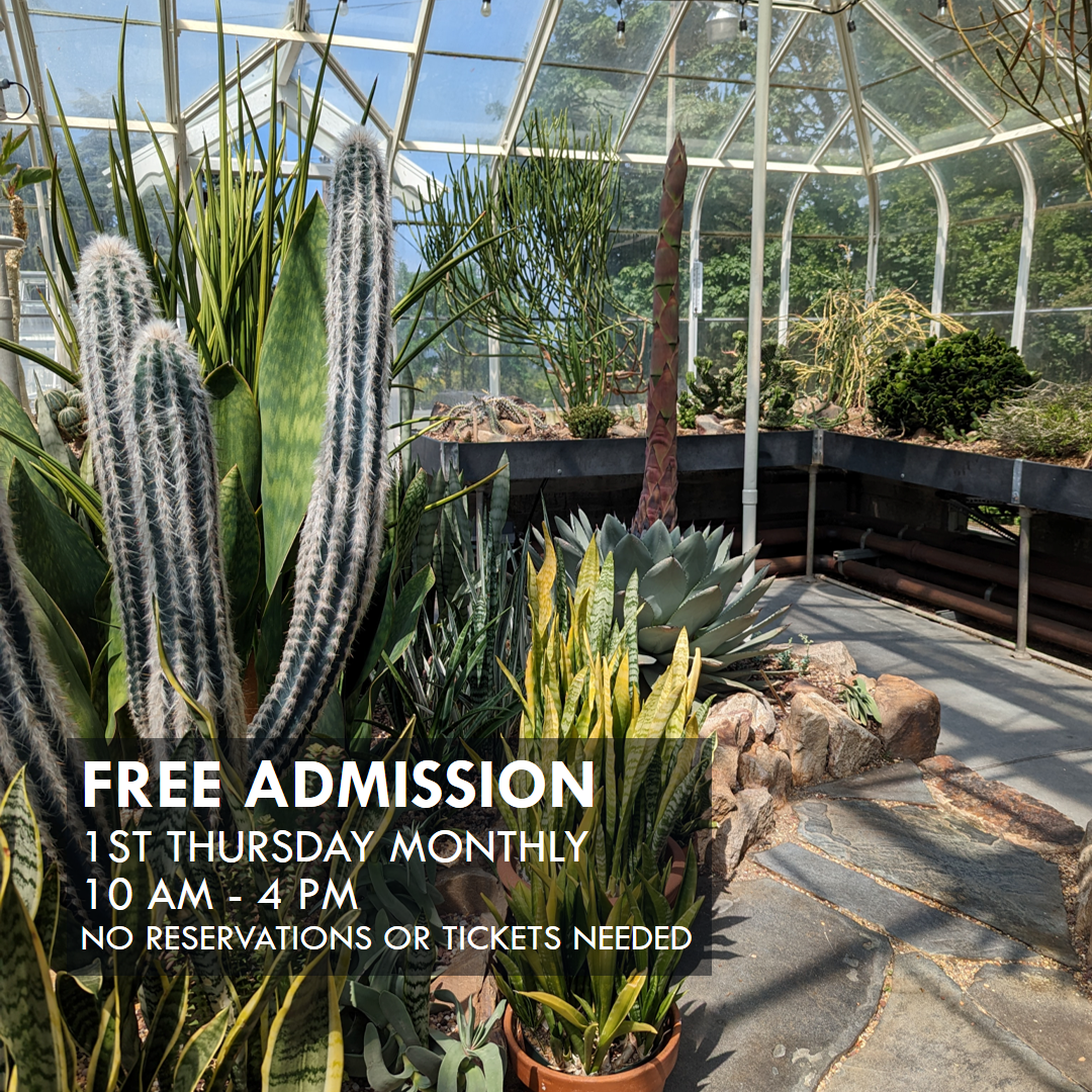 Free Conservatory Admission - 1st Free Thursday