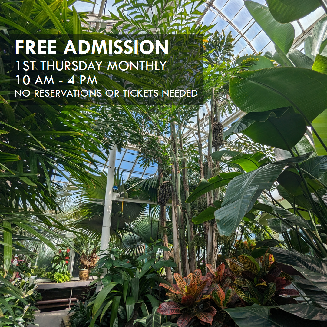 Free Conservatory Admission - 1st Free Thursday