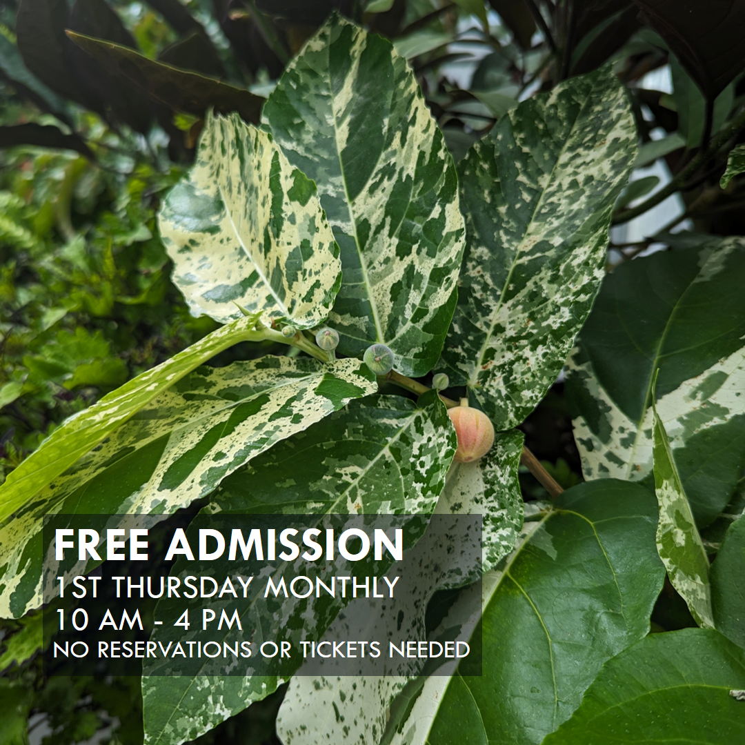 Free Conservatory Admission - 1st Free Thursday