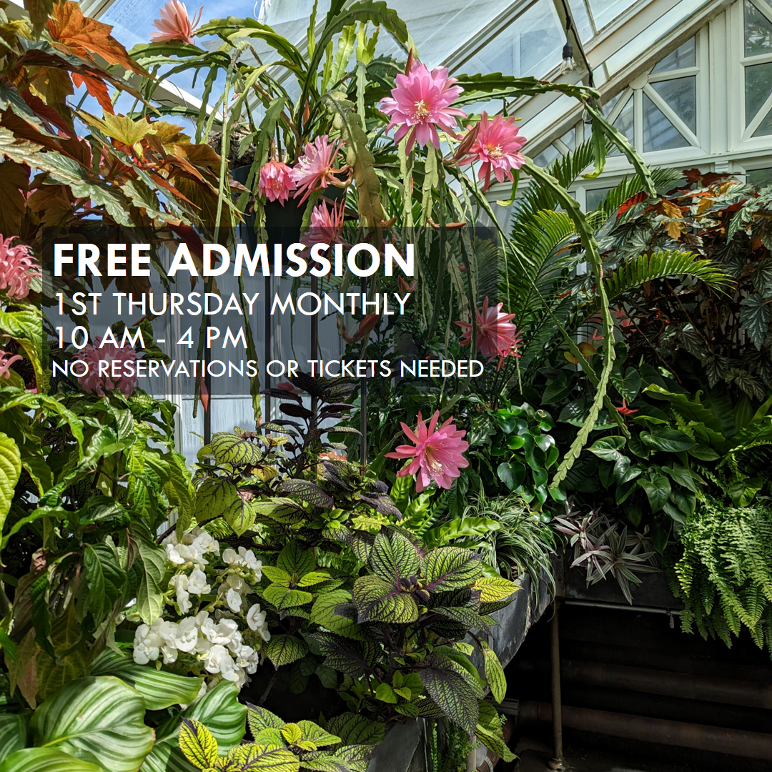 Free Conservatory Admission - 1st Free Thursday