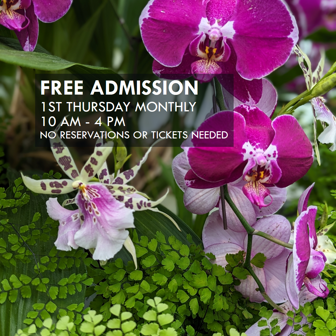 Free Conservatory Admission - 1st Free Thursday