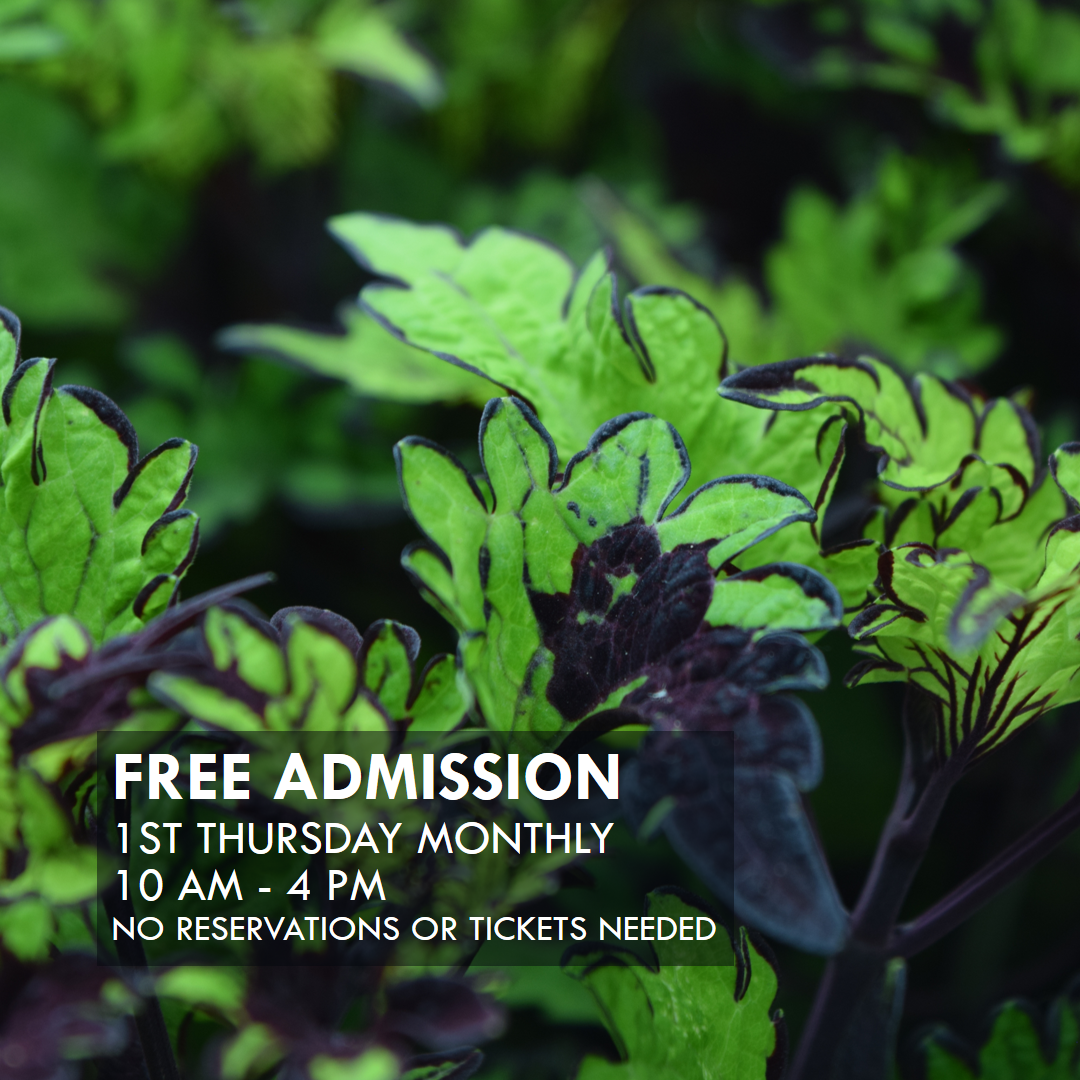 Free Conservatory Admission - 1st Free Thursday