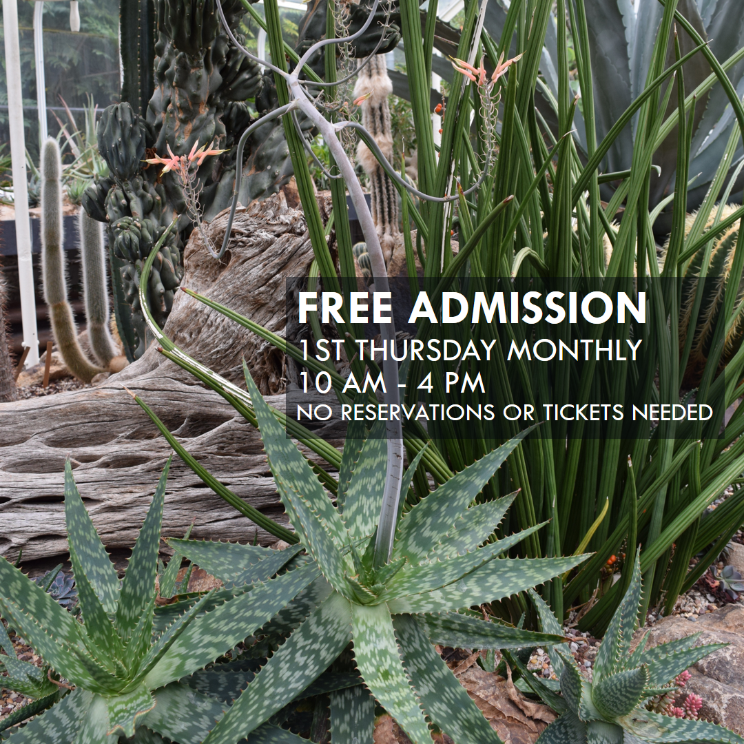Free Conservatory Admission - 1st Free Thursday