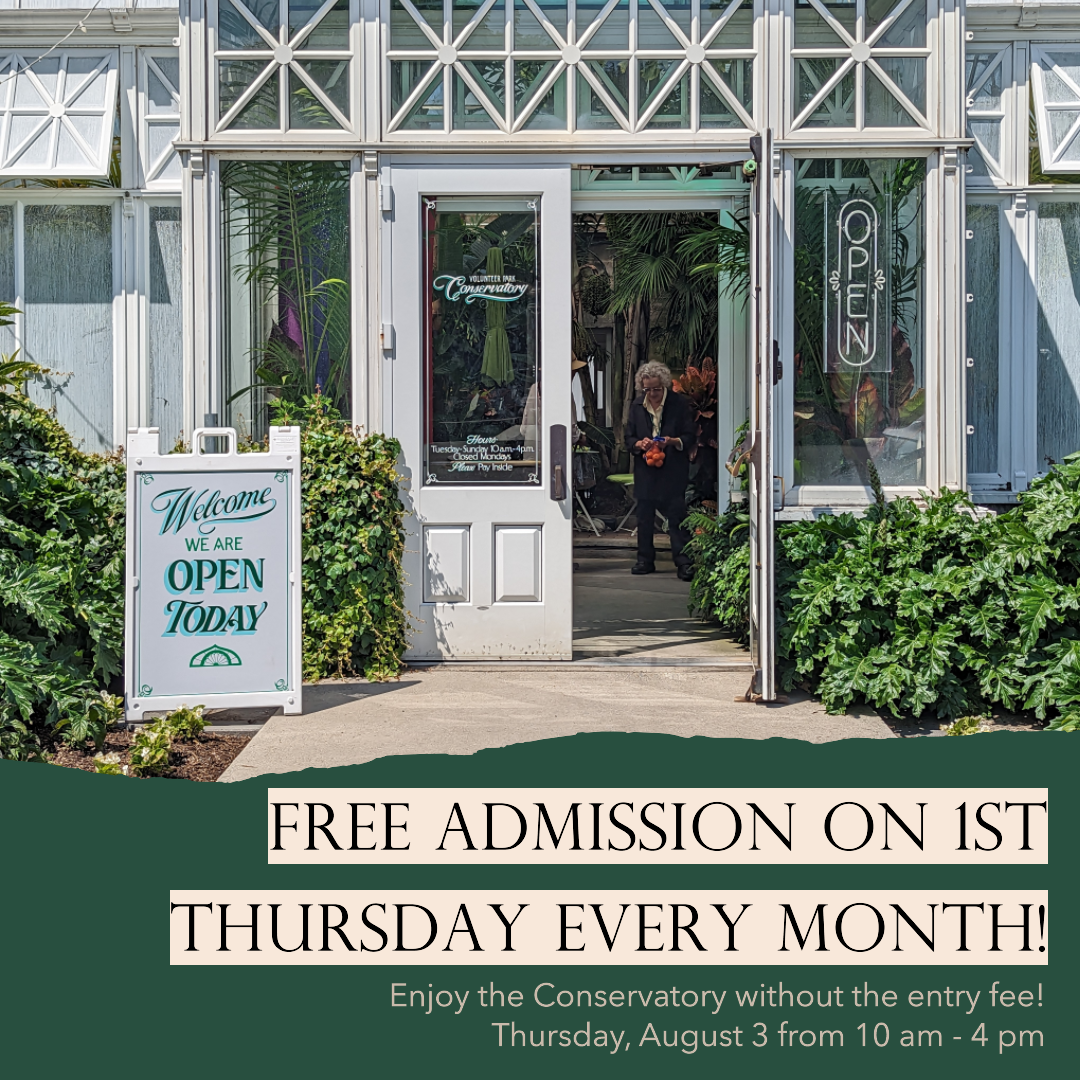 Free First Thursdays