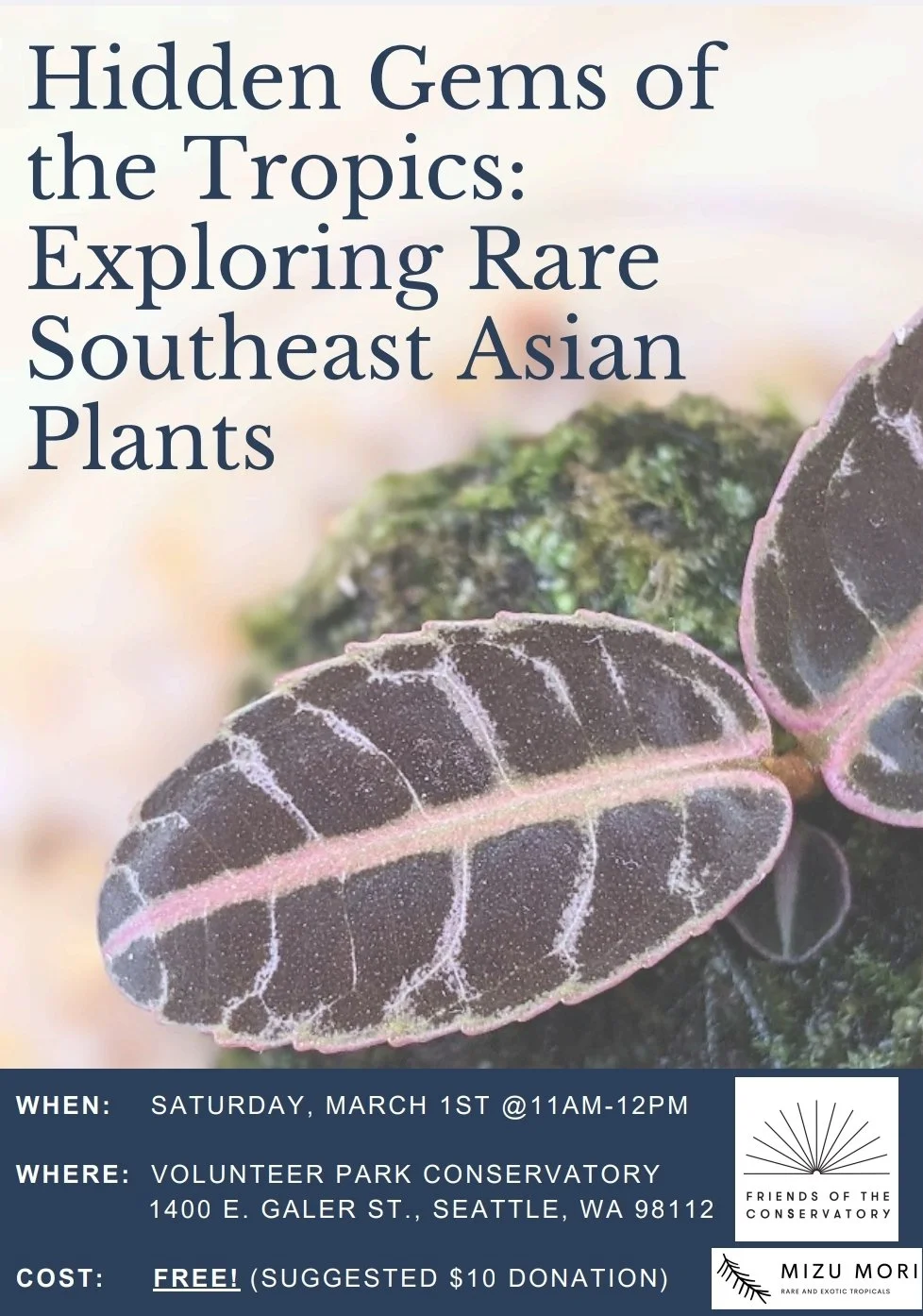 Presentation by Michael Meechan on Exotic Plants from Southeast Asia