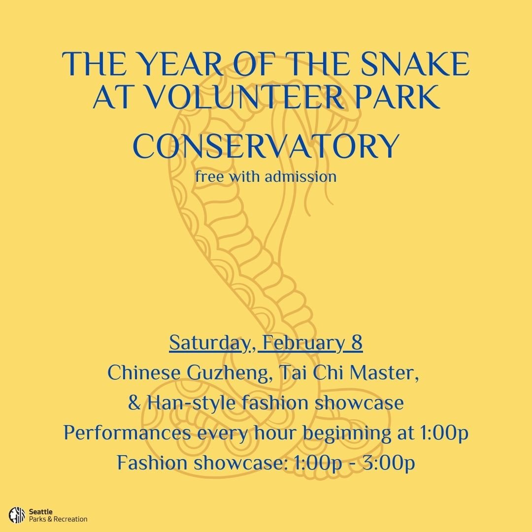 Lunar New Year Activities