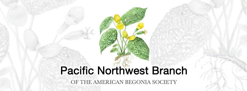 Pacific Northwest Branch of the American Begonia Society