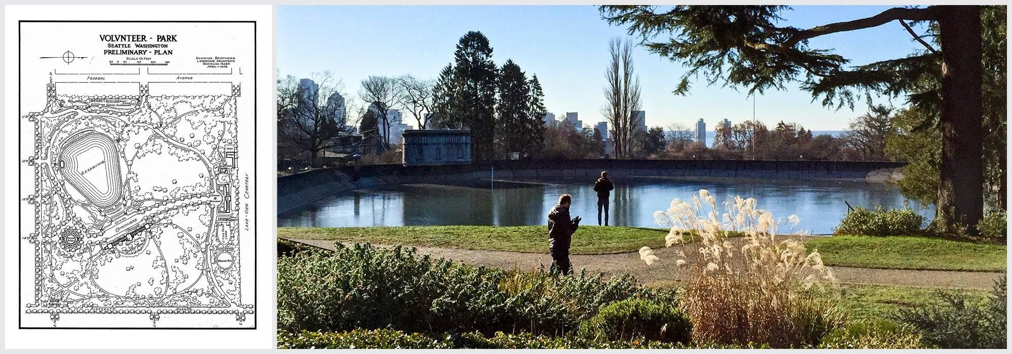 Volunteer Park Walking Tree Tour