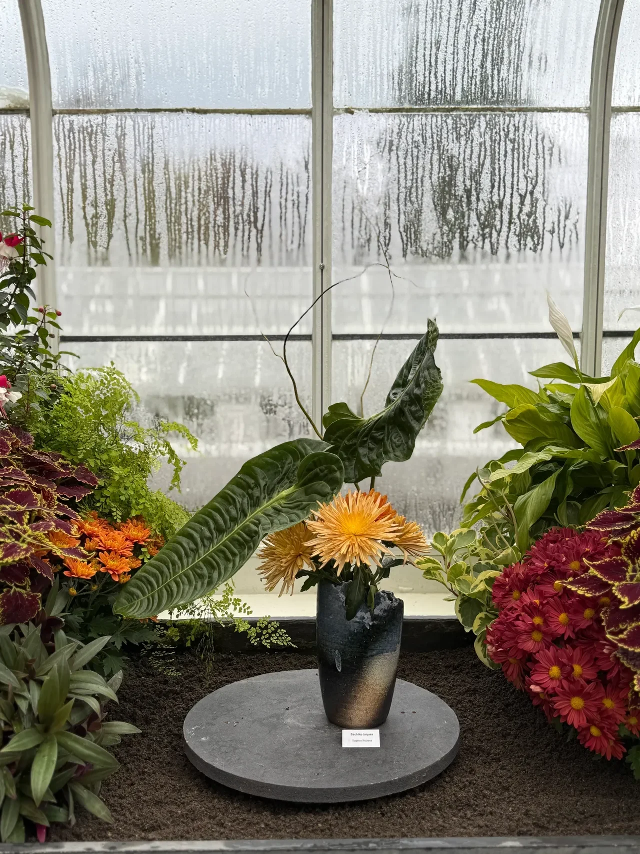 Mum Seasonal Celebration by Sogetsu Mercer Island Branch