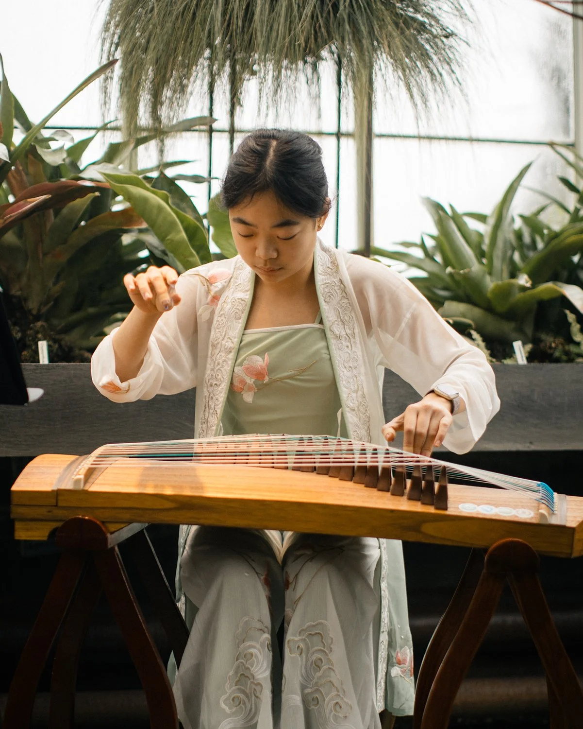A woman wearing traditional Asian clothing playing a huqin instrument in a greenhouse filled with large green plants and natural light.