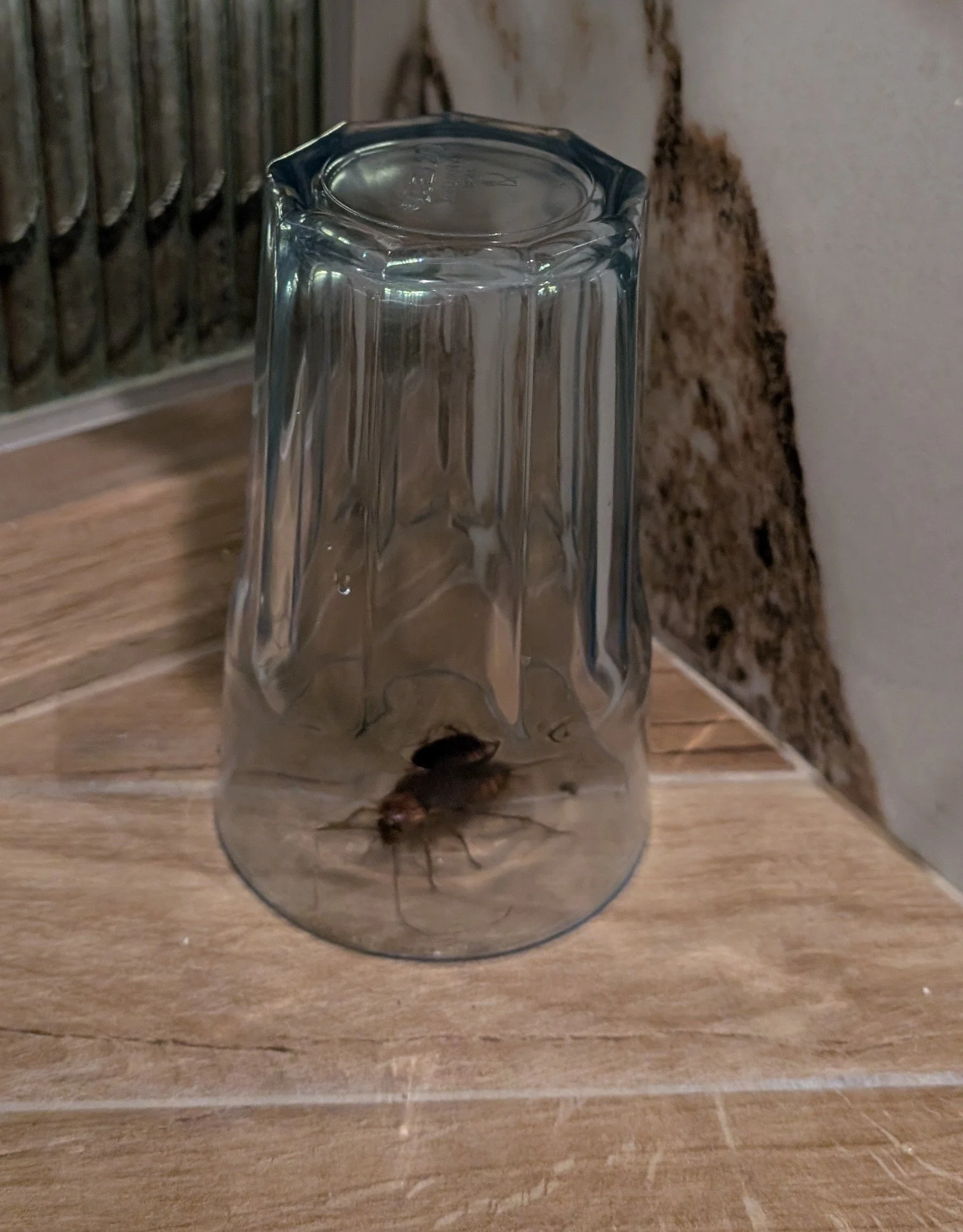 cogitation troisième