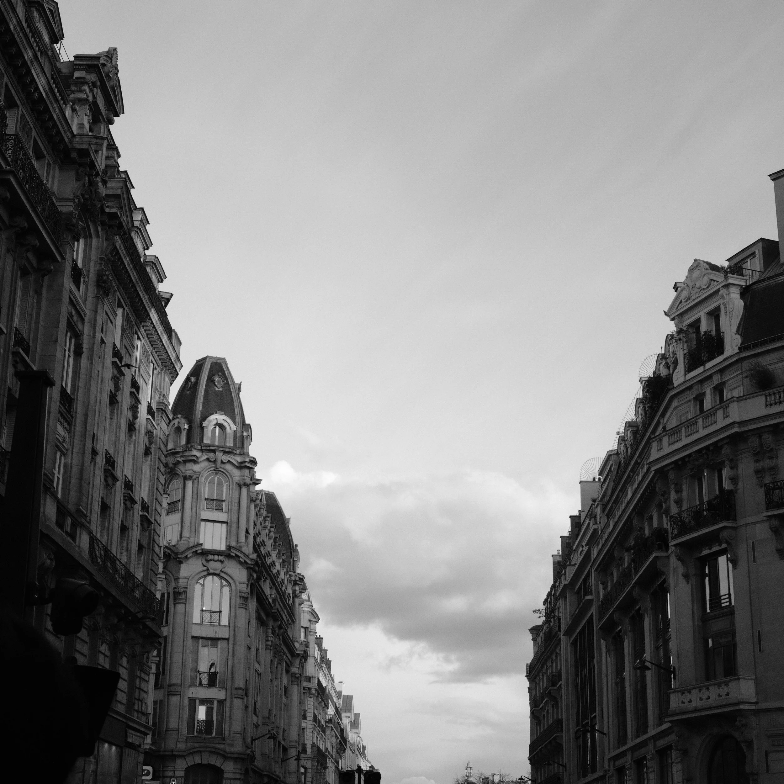 Cogitation cinquième