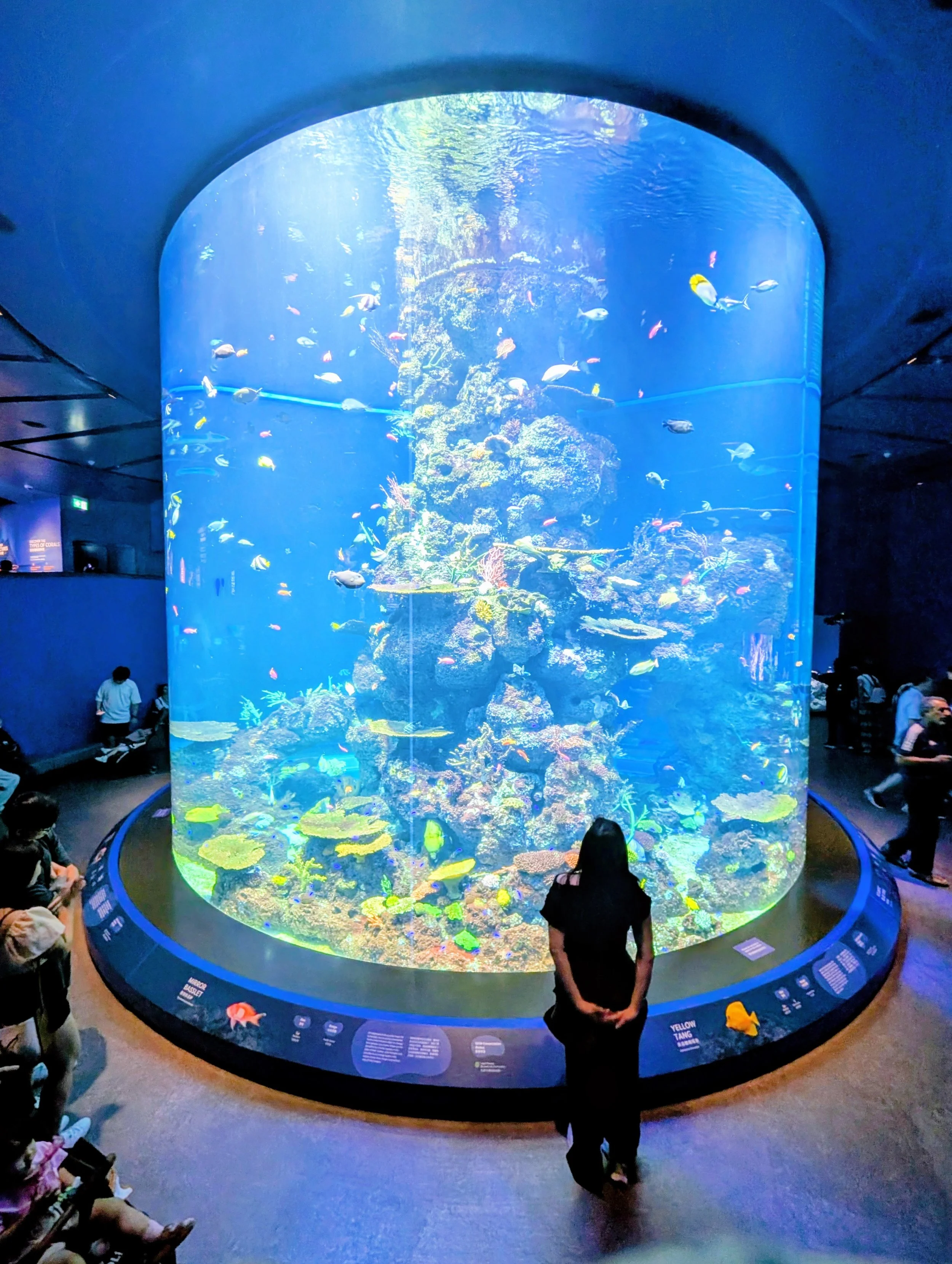 cogitation huitième