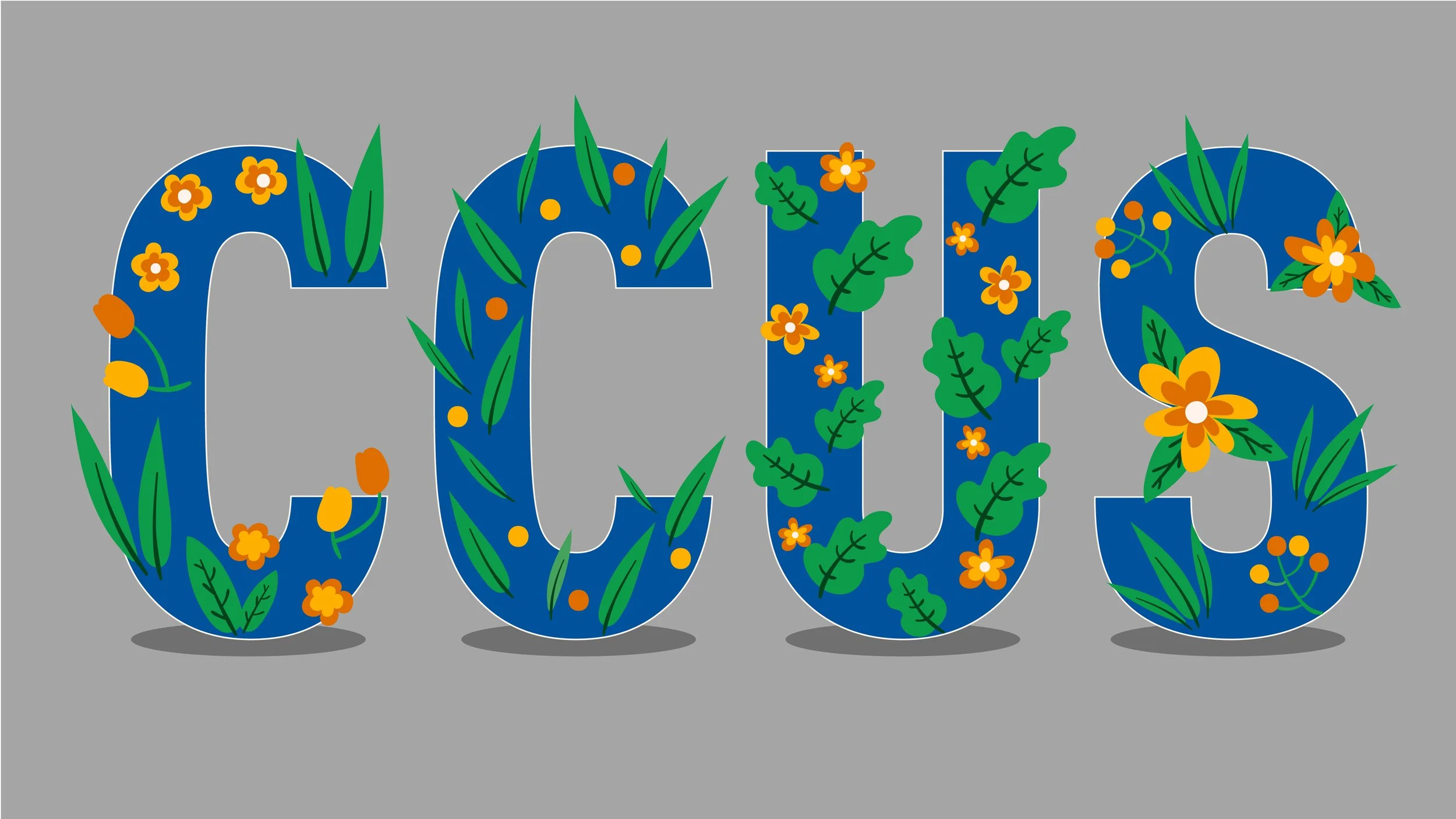CCUS Explainer Video
