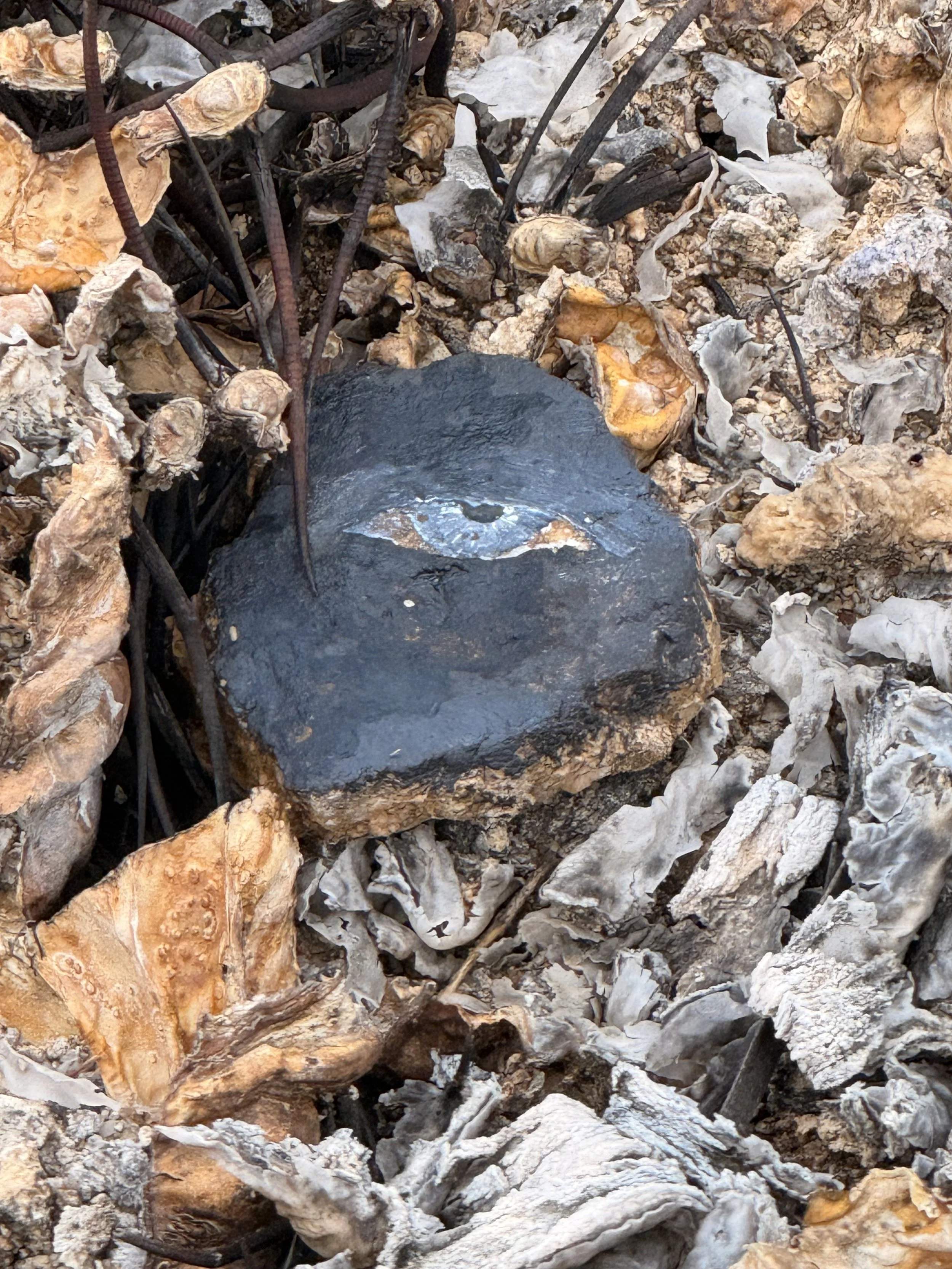 If today were your last day…