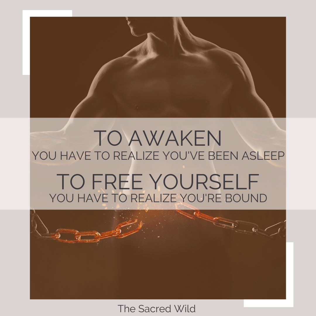 I Am My Own Warden