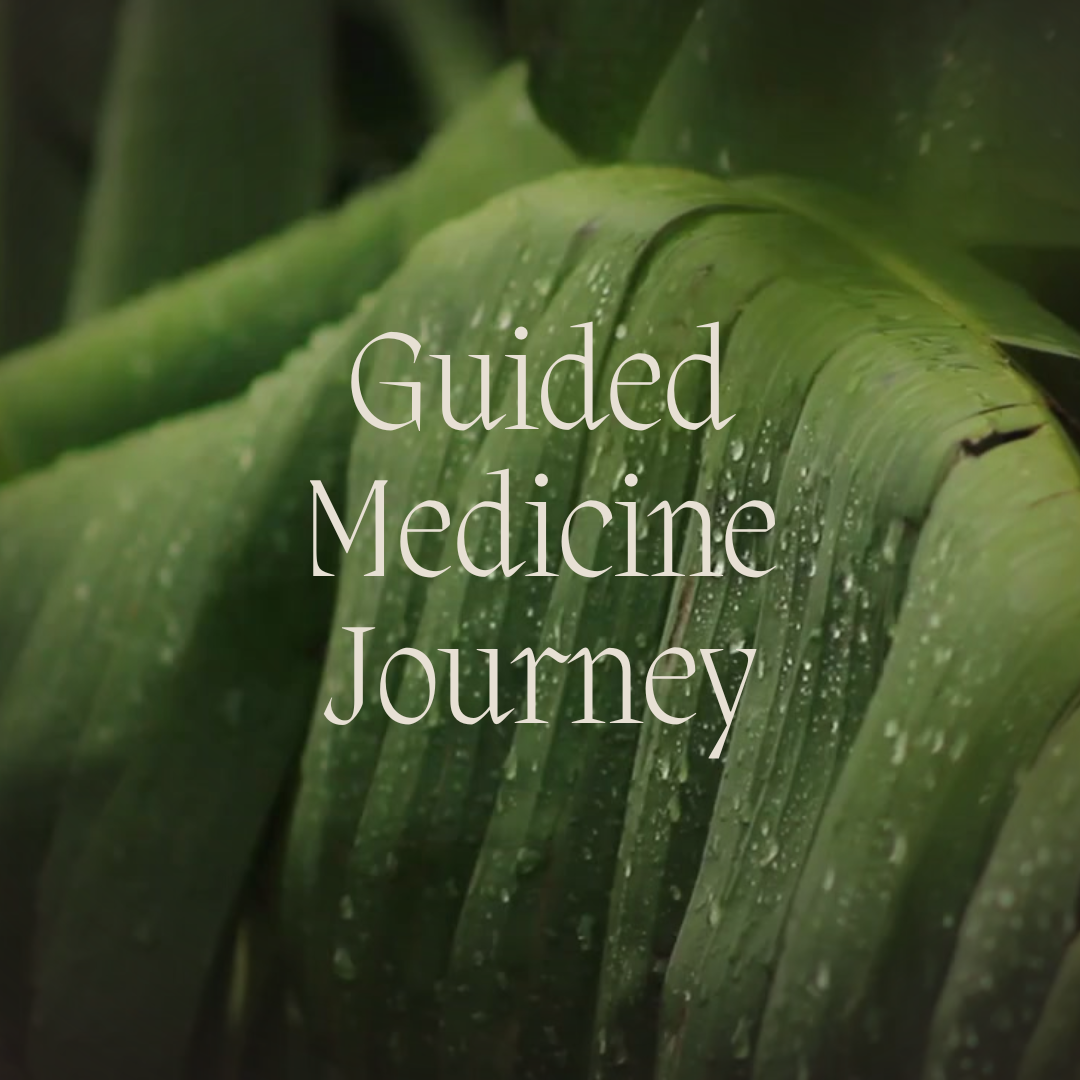 Guided Medicine Ceremony