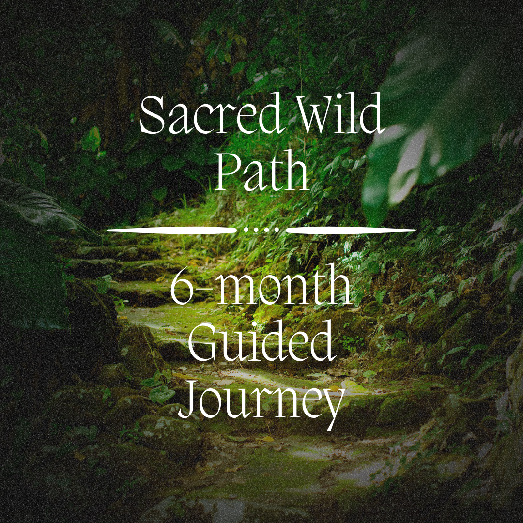6-Month Guided Journey
