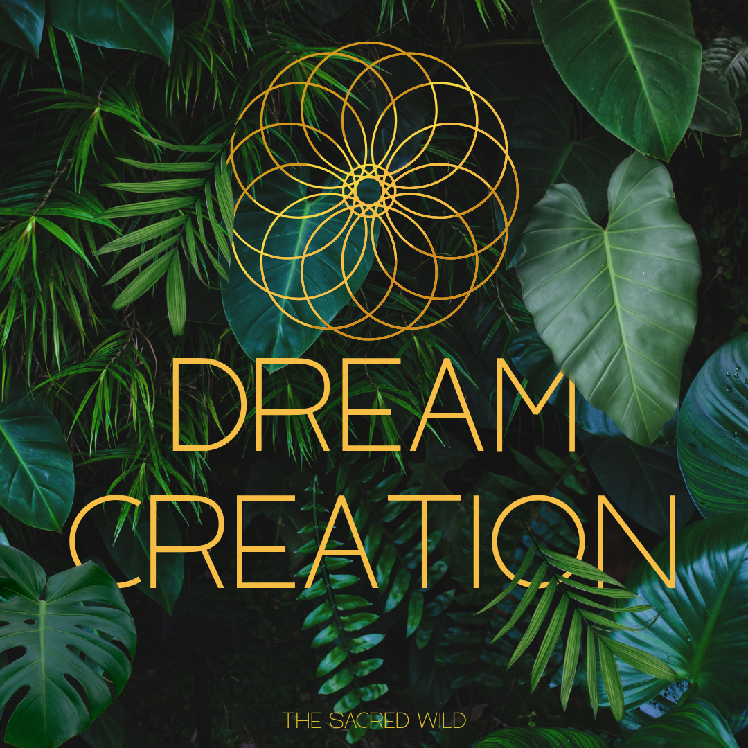 Dream Creation - A 9-week Journey from Vision to Reality