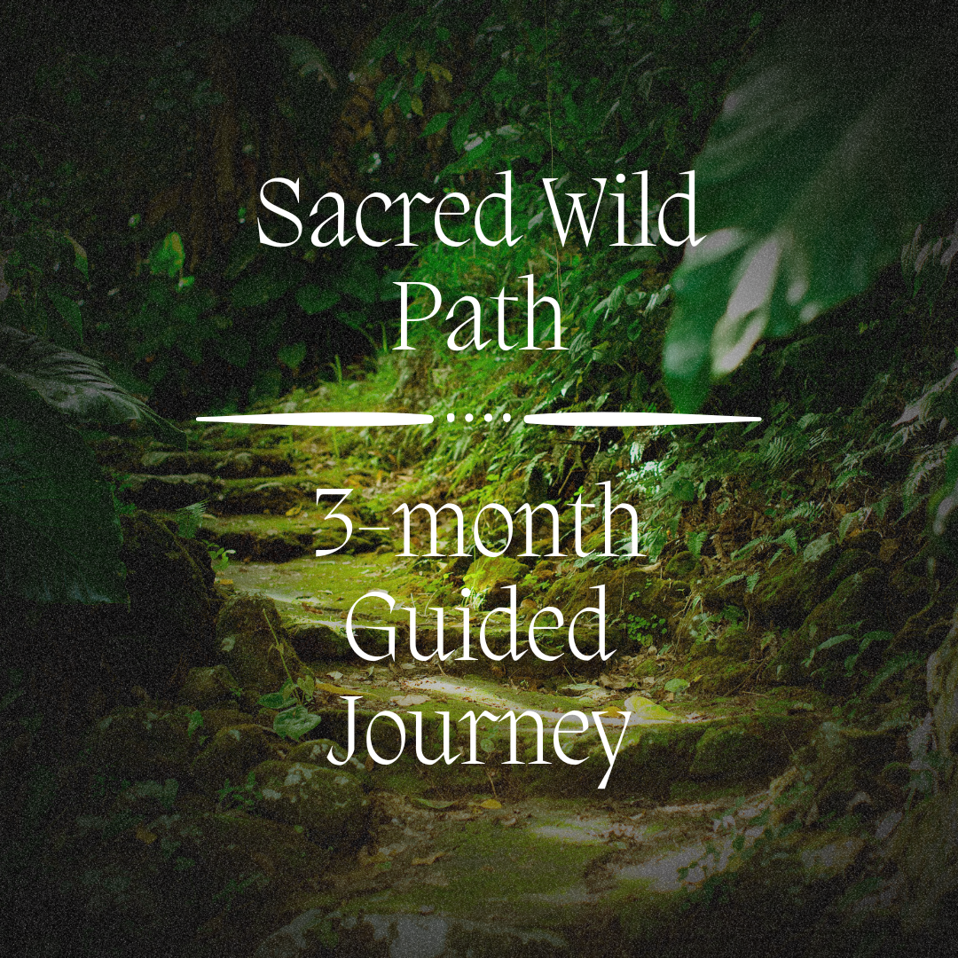 3-Month Guided Journey