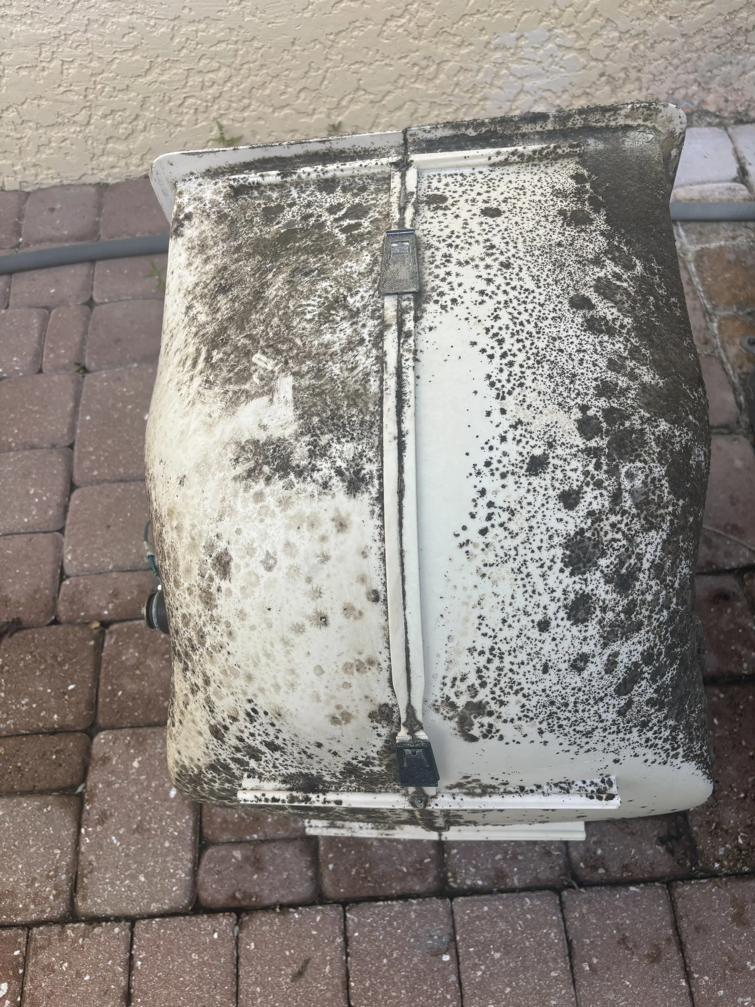 blower housing covered in black mold and dirt on a brick patio next to a wall.