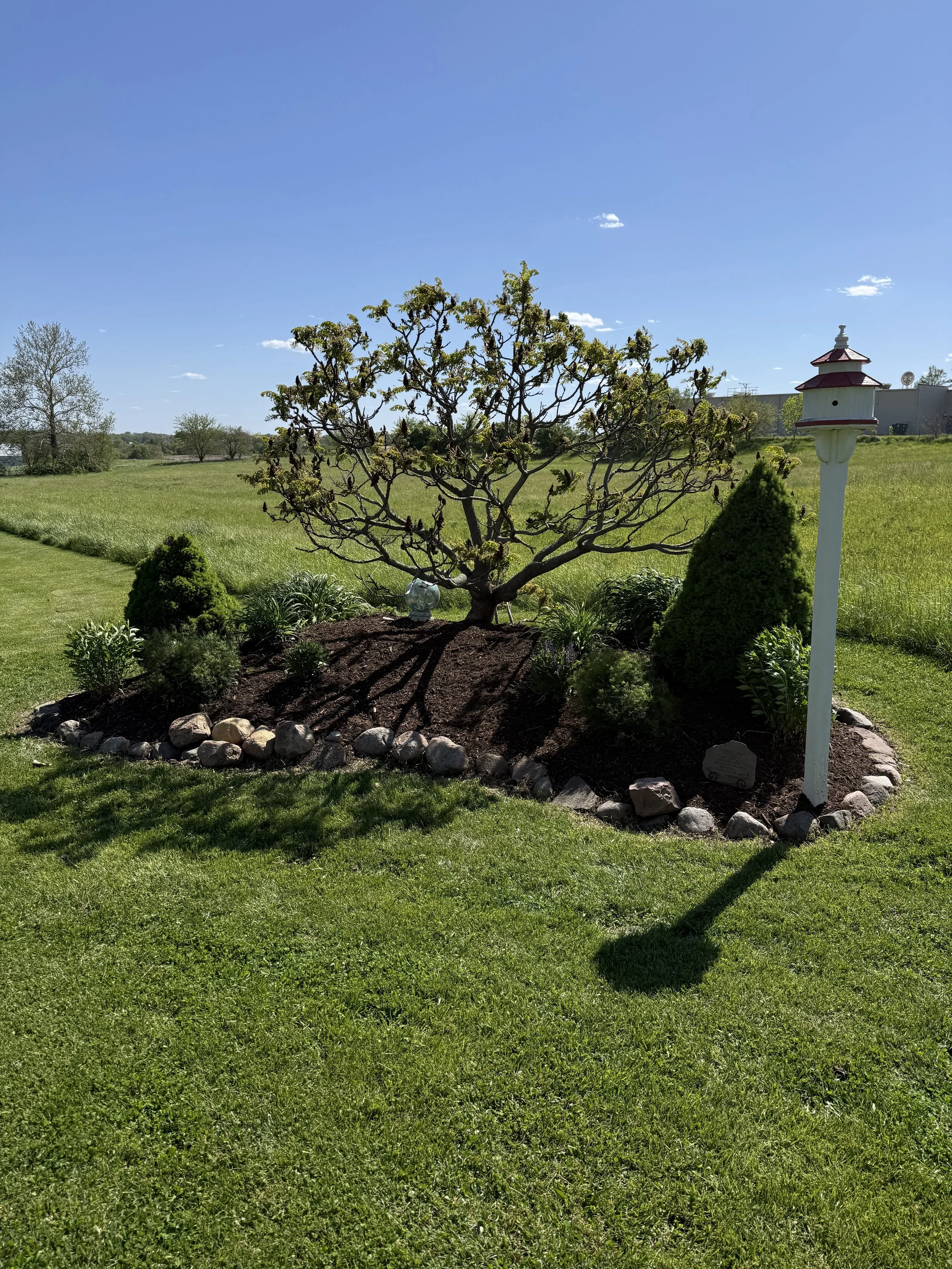 Edge clean up and mulching