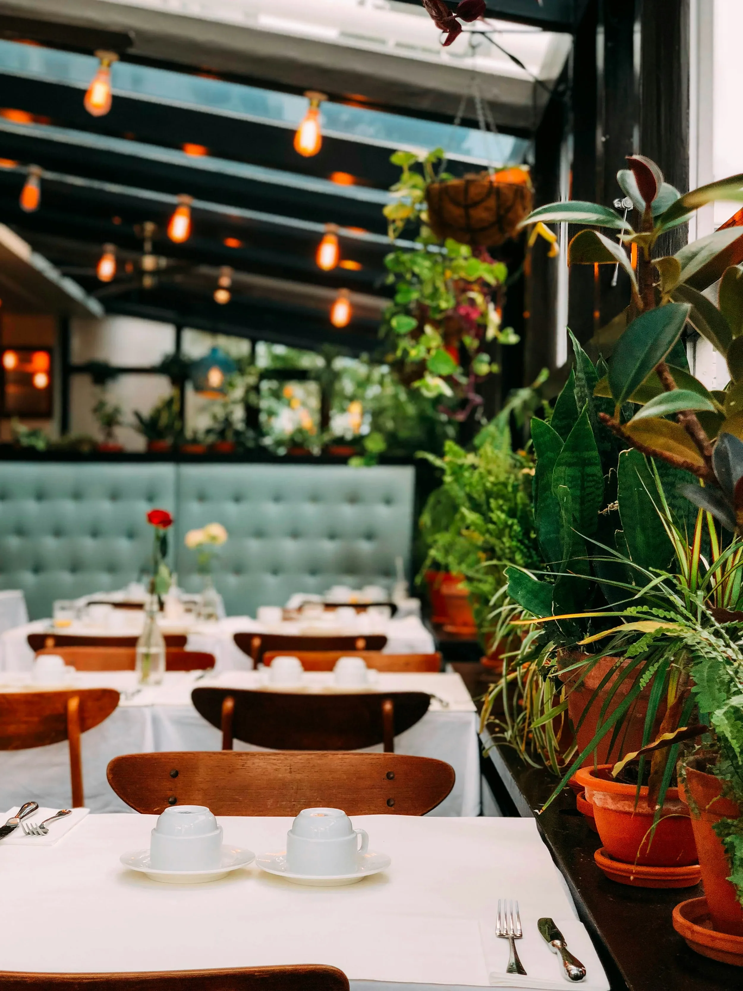 Table set for dining with white tablecloth, cups, plates, forks, and knives, in a restaurant or cafe with potted plants and hanging lights in the background.