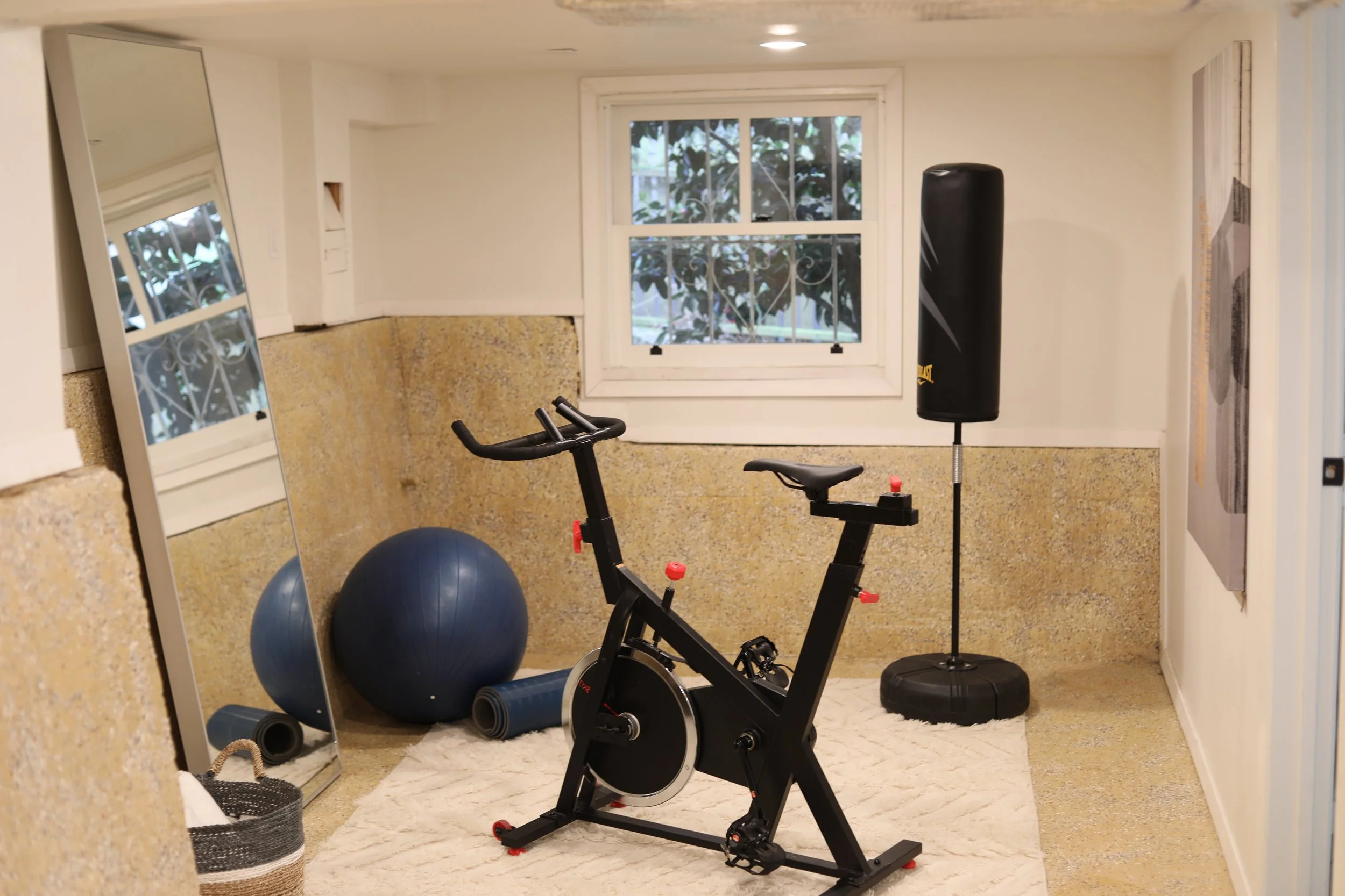 A home exercise room with a stationary bike, a punching bag, two blue exercise balls, a mirror, and a window showing greenery outside.
