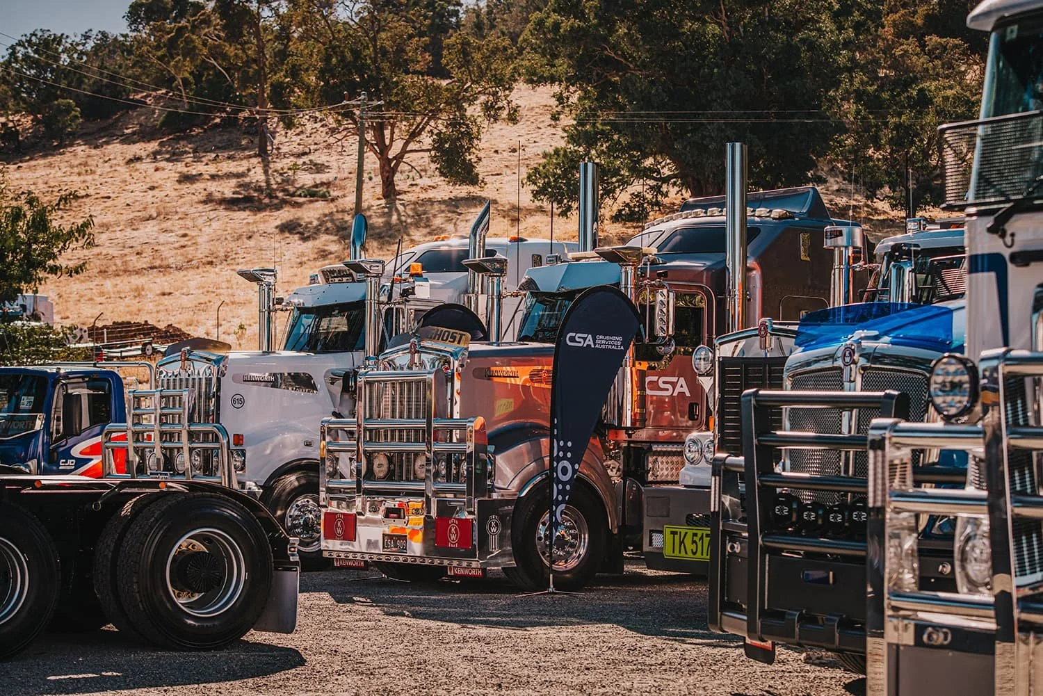 DSC_6803.jpg