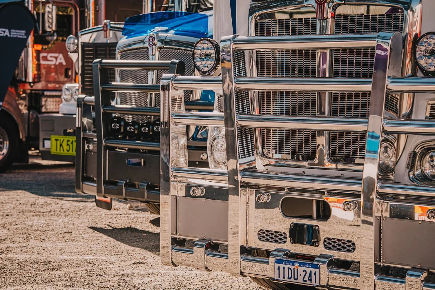 DSC_6805.jpg