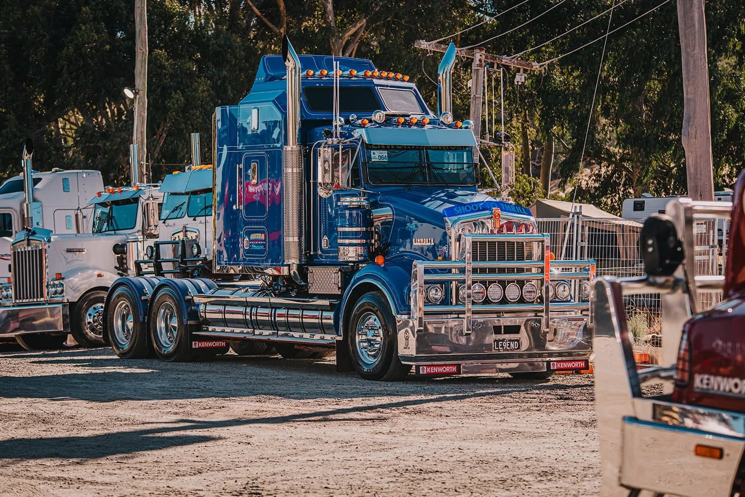 DSC_6800.jpg
