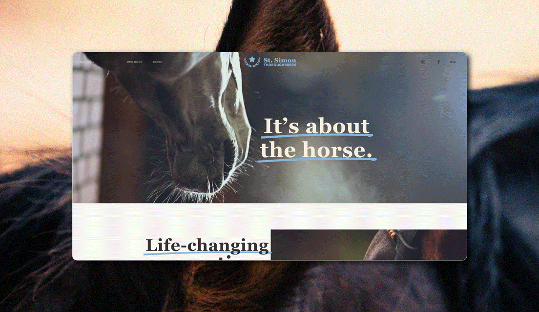 Fast-paced display of website designs across home and inner pages, highlighting variety in layout, content flow, and brand expression.