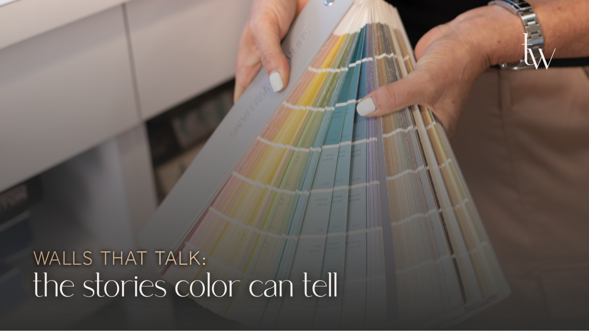 Walls That Talk: The Stories Color Can Tell