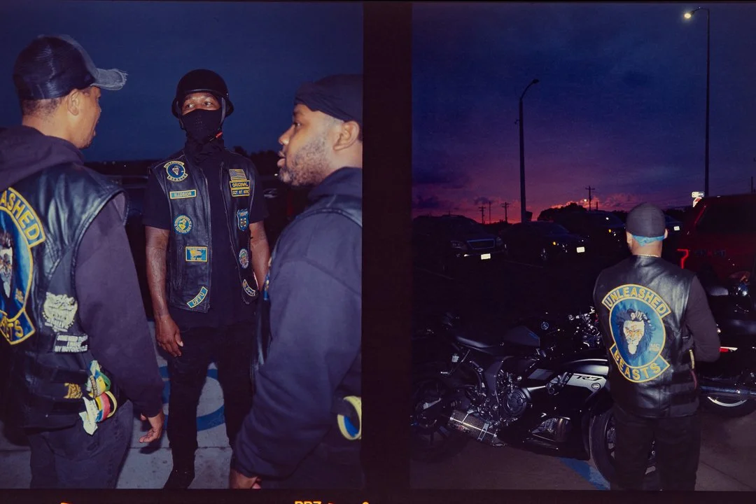 unleasheddiptych.jpg