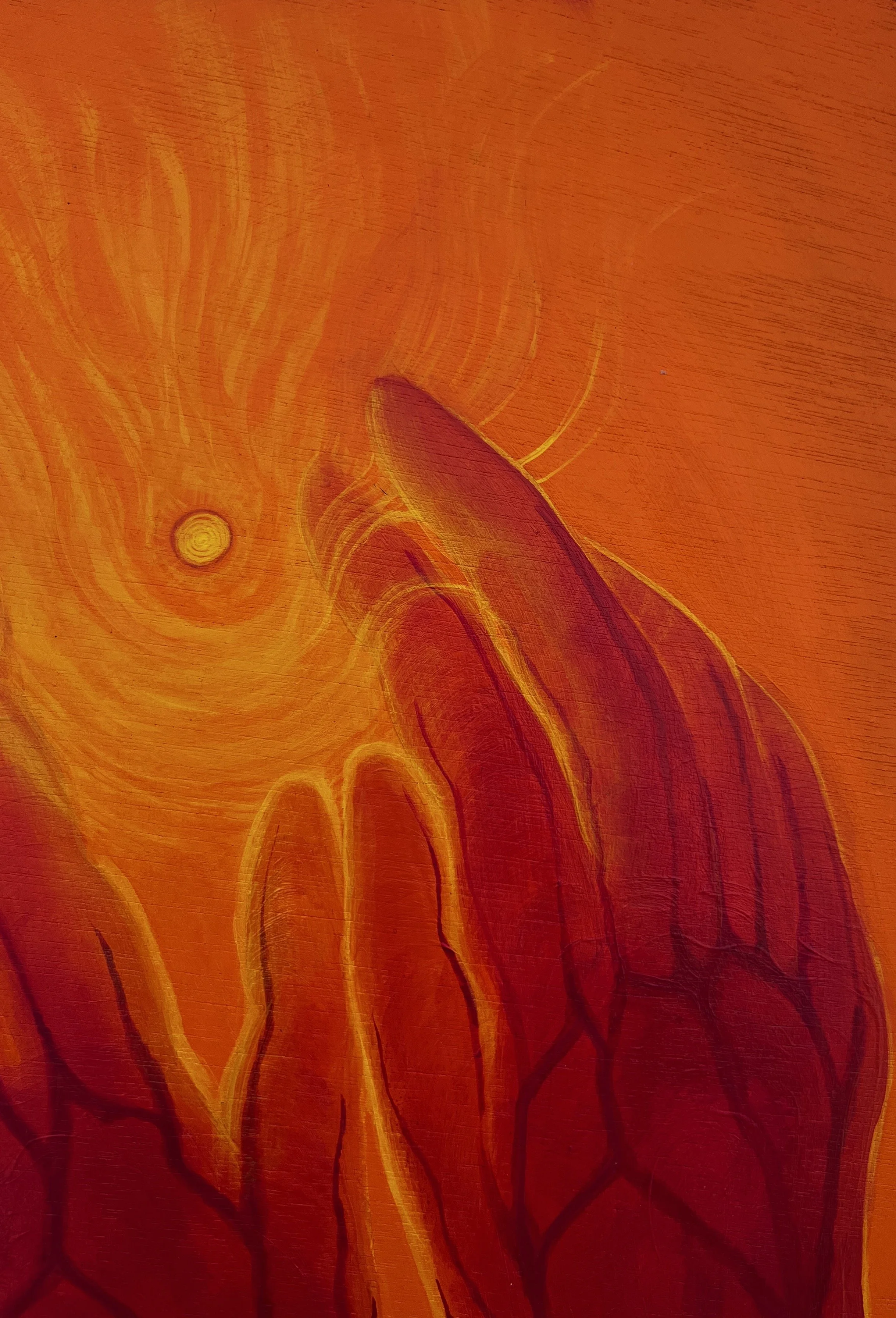 Catching the falling sun detail 2.JPG