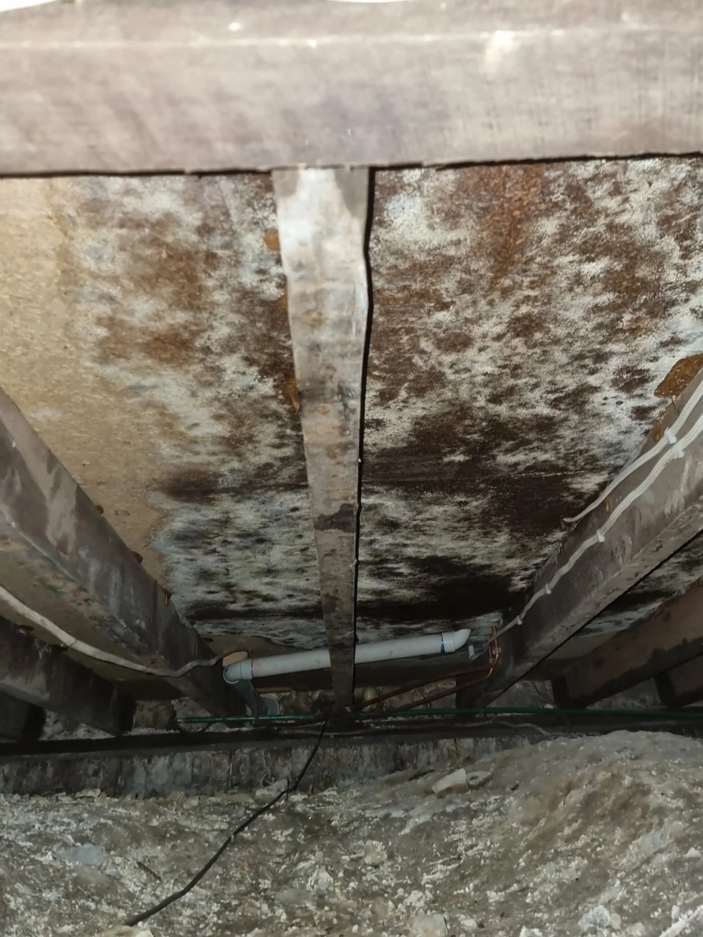 subfloor mould example