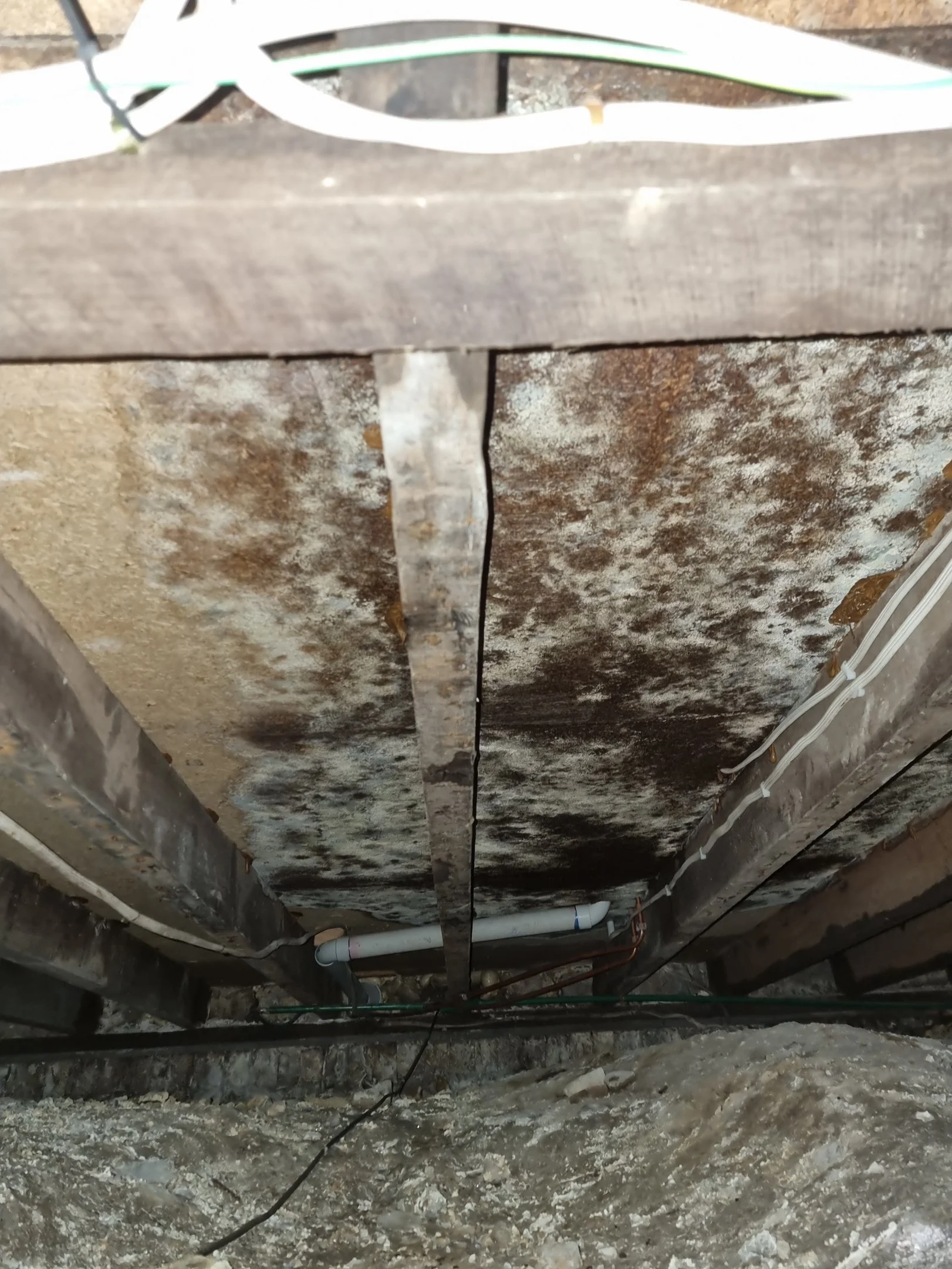 View of a basement ceiling showing rusted and dirty pipes, wiring, and a wooden beam with mould and water damage.