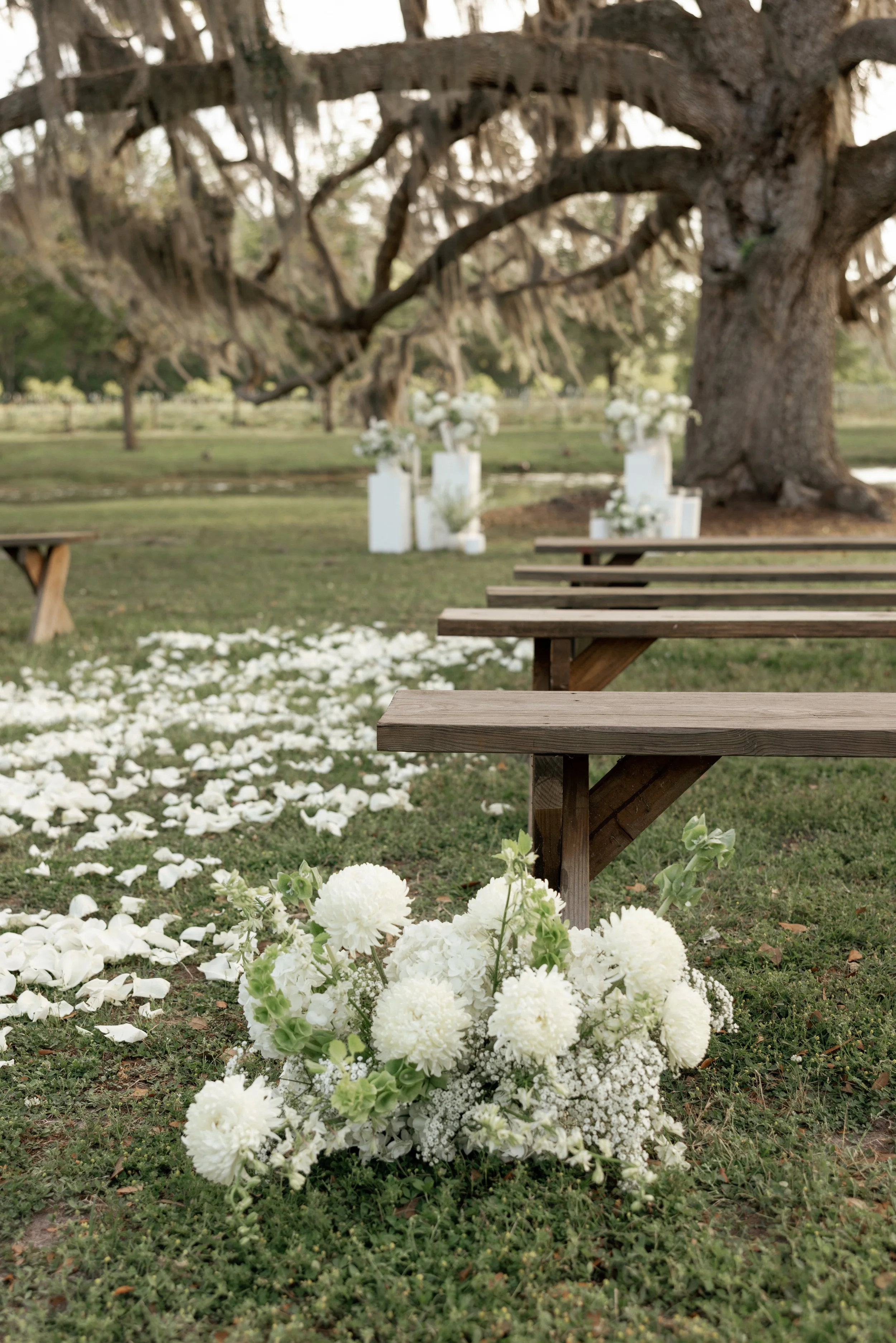 Back of Aisle Designs