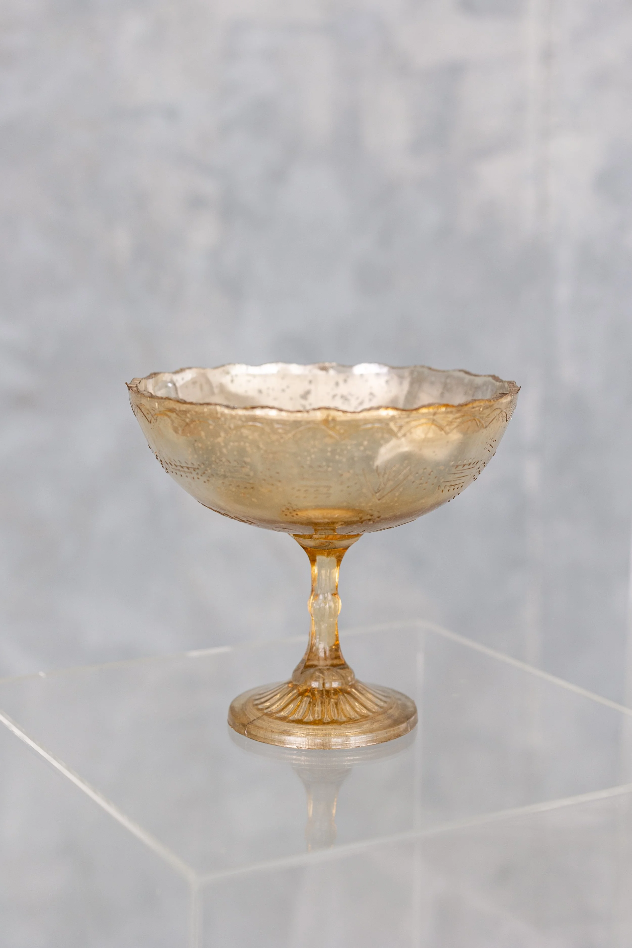 Mercury compote 2.JPG