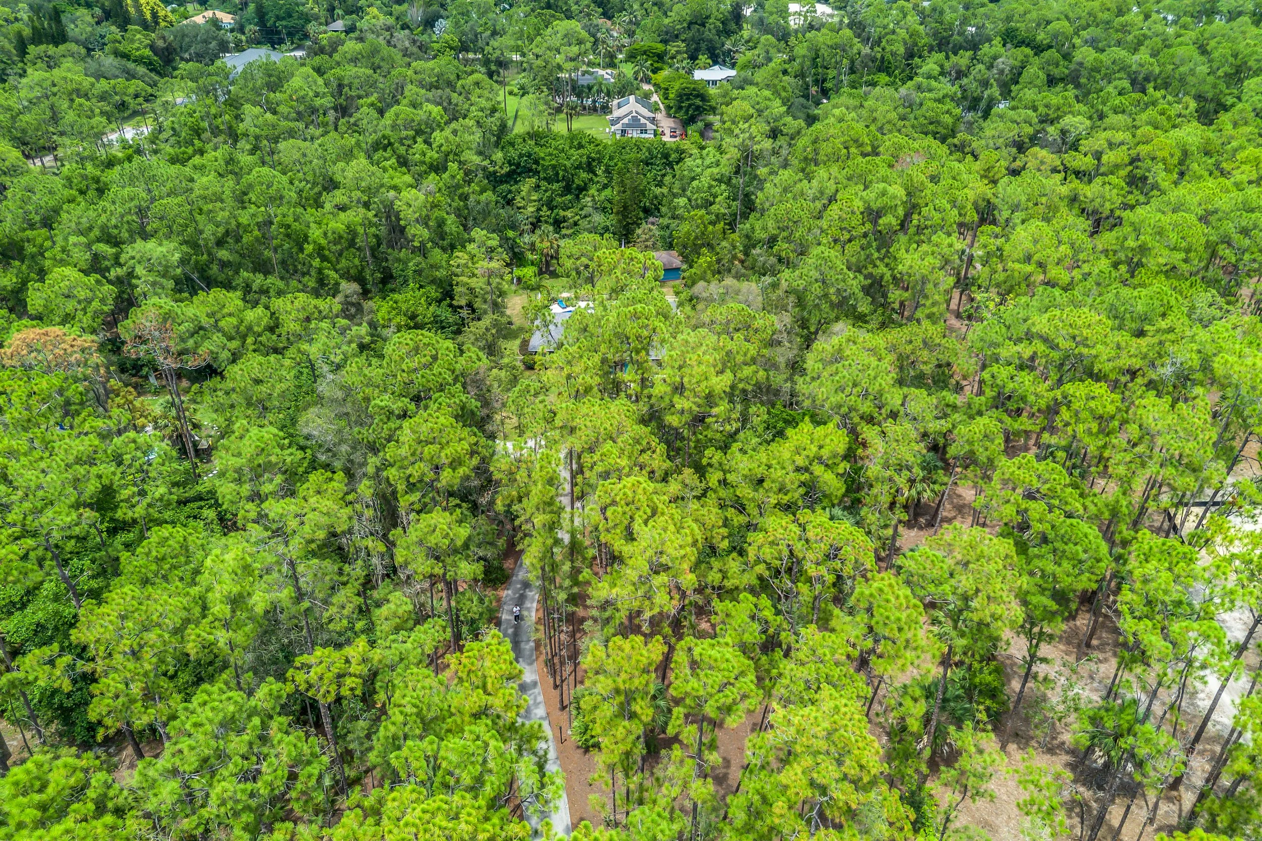 DJI_0007.jpg
