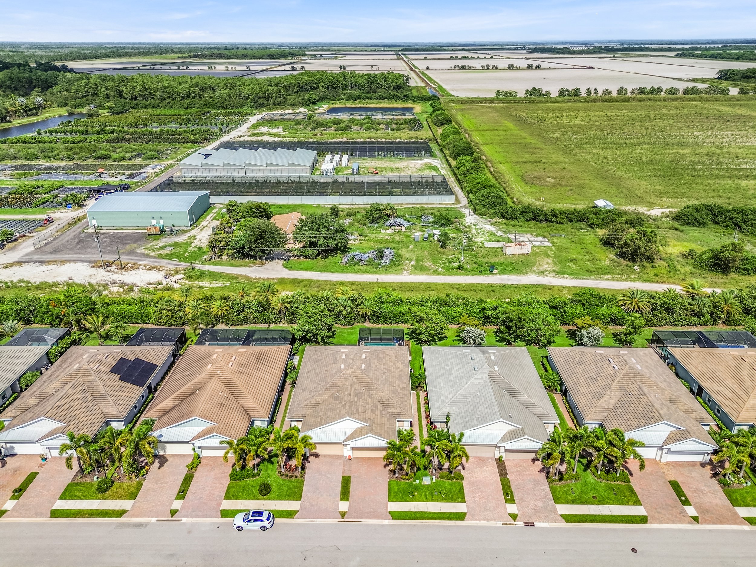DJI_0137.jpg