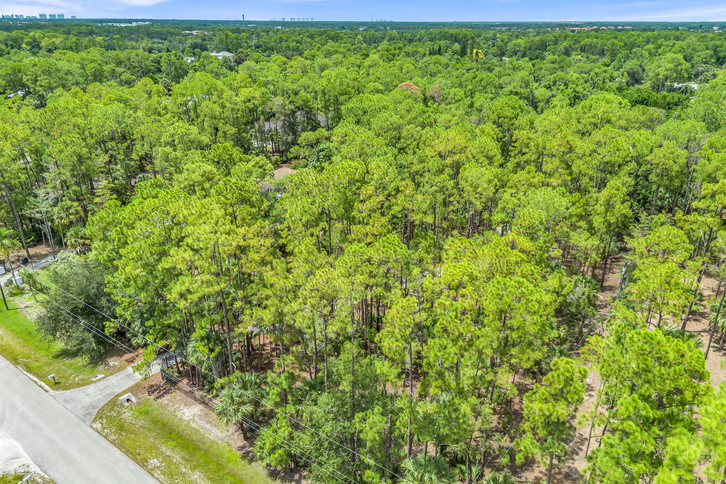 DJI_0023.jpg