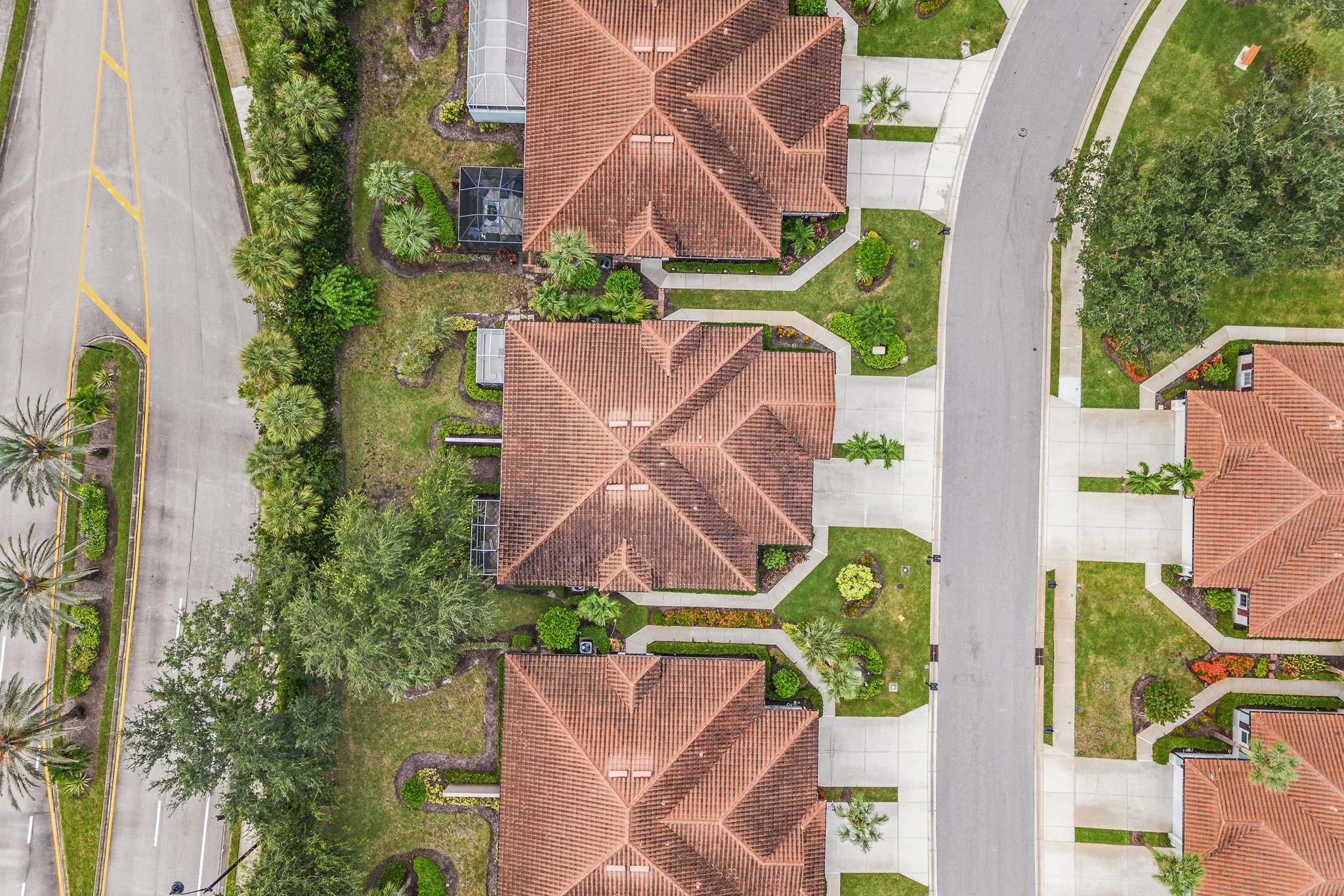 DJI_0049.jpg