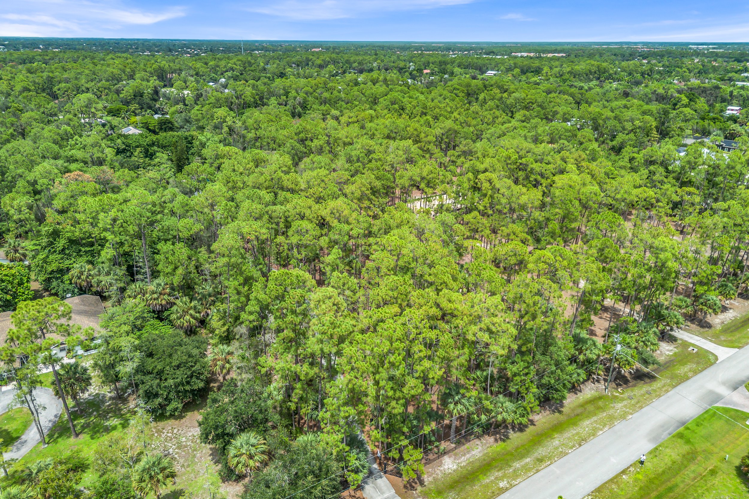 DJI_0028.jpg